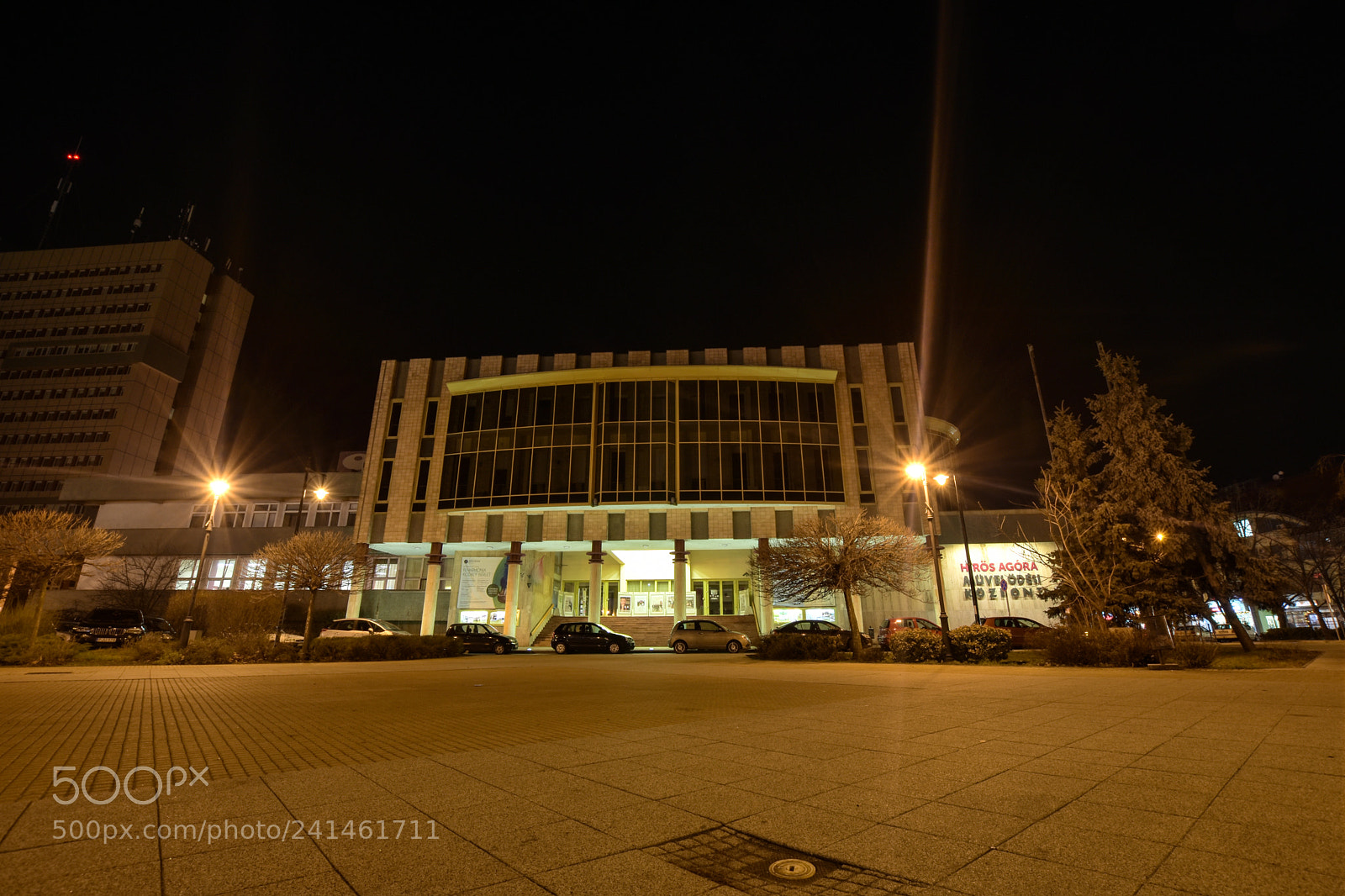 Nikon D7200 sample photo. Untitled photography