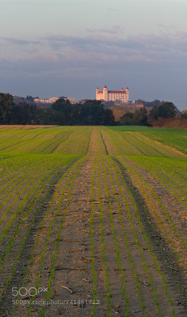 Canon EOS 550D (EOS Rebel T2i / EOS Kiss X4) sample photo. Bratislava castle photography