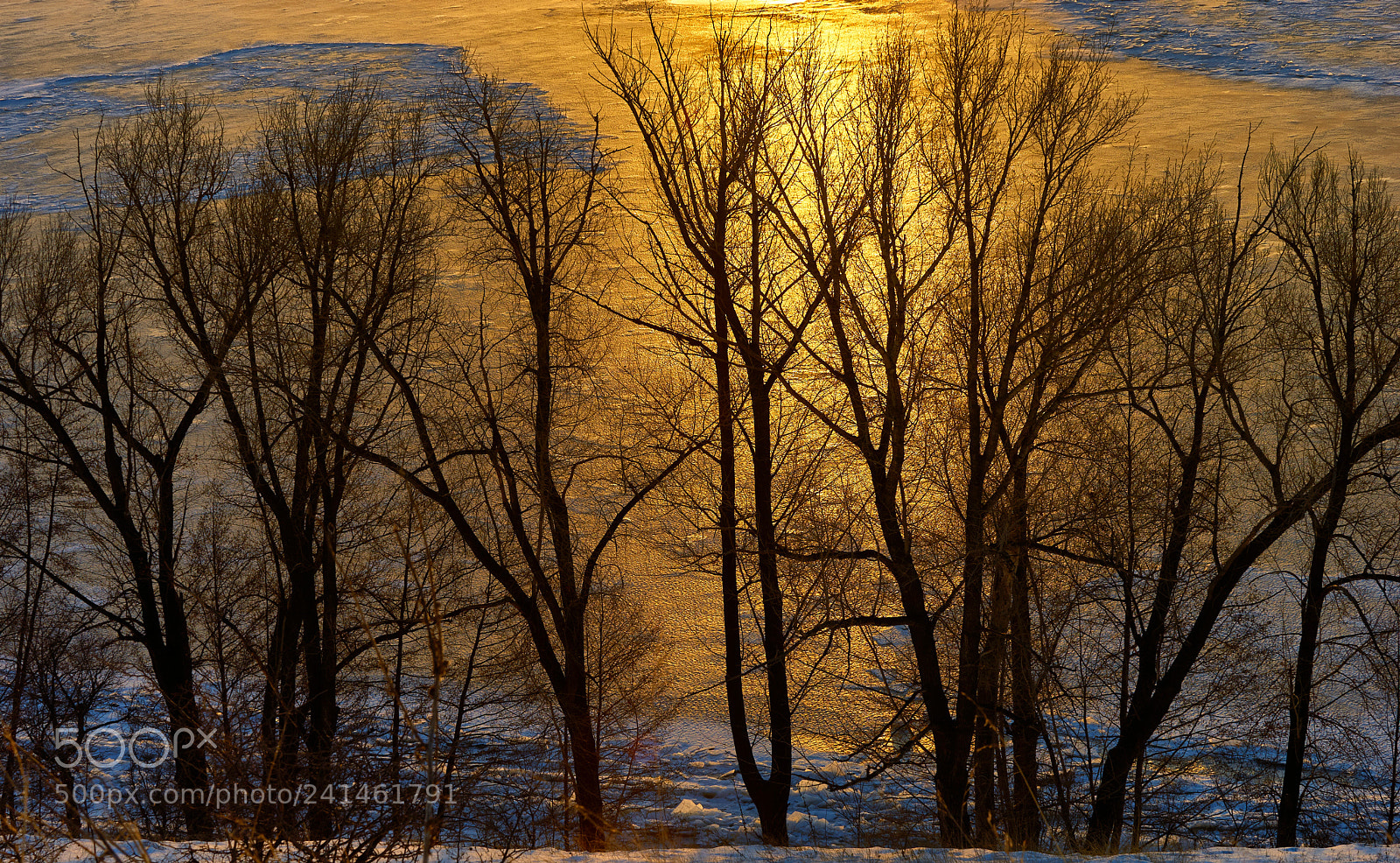 Sony a7 II sample photo. Золото... photography