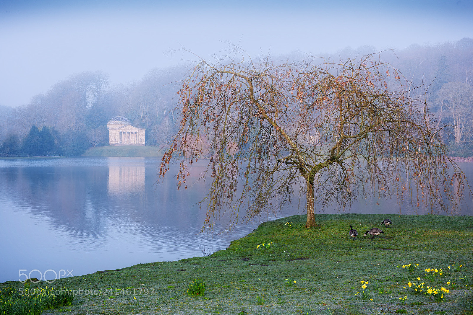 Canon EOS-1Ds Mark III sample photo. Stourhead, england photography