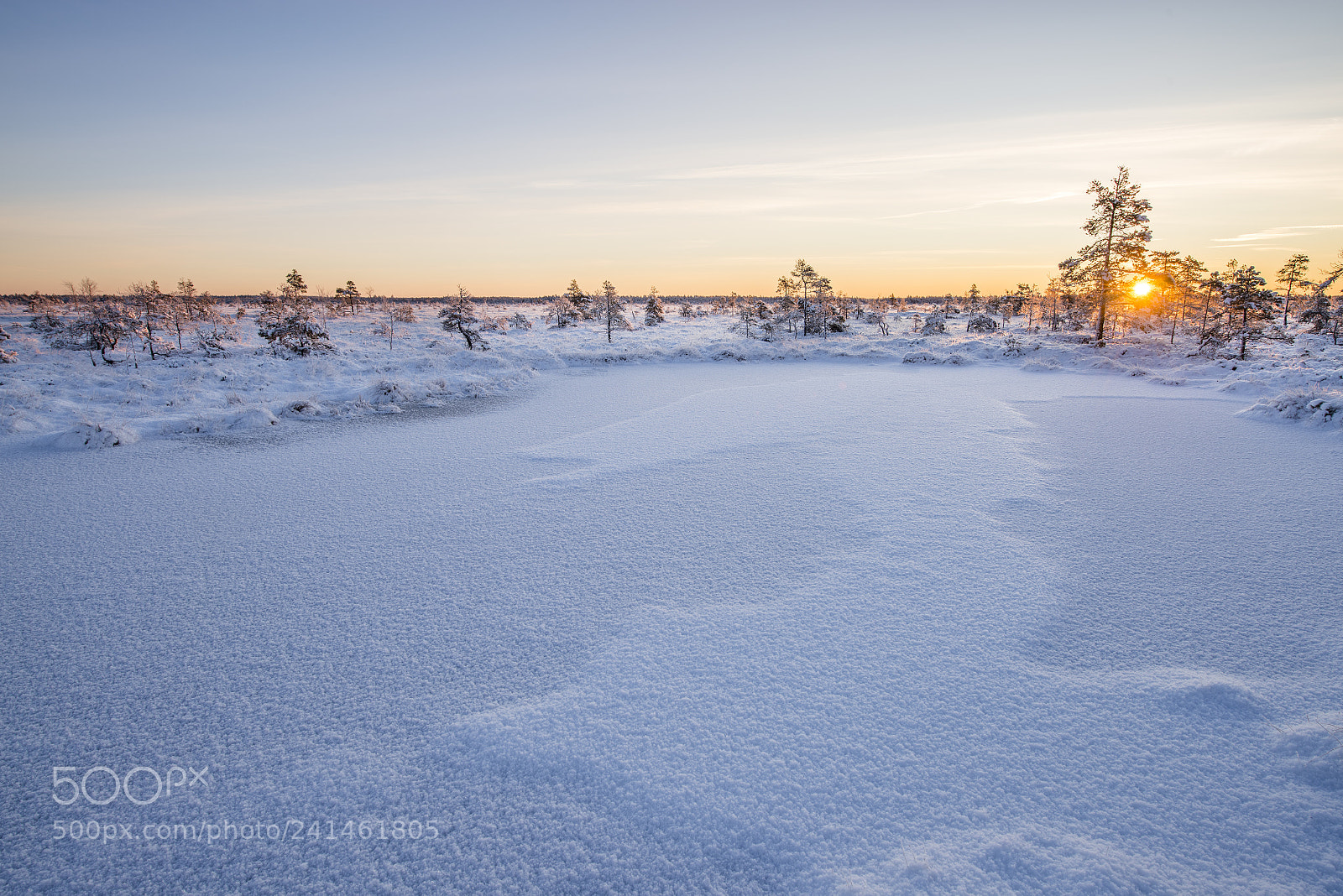 Nikon D800 sample photo. Winter morning photography