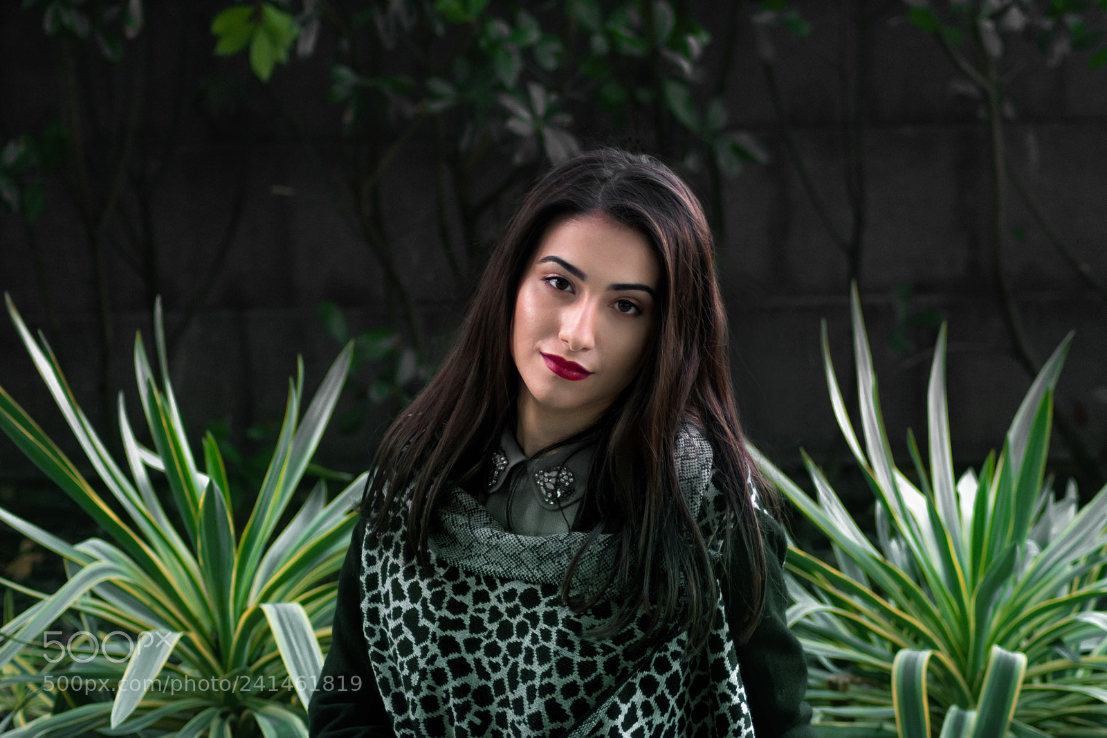 Nikon D3400 sample photo. Be mine. photography