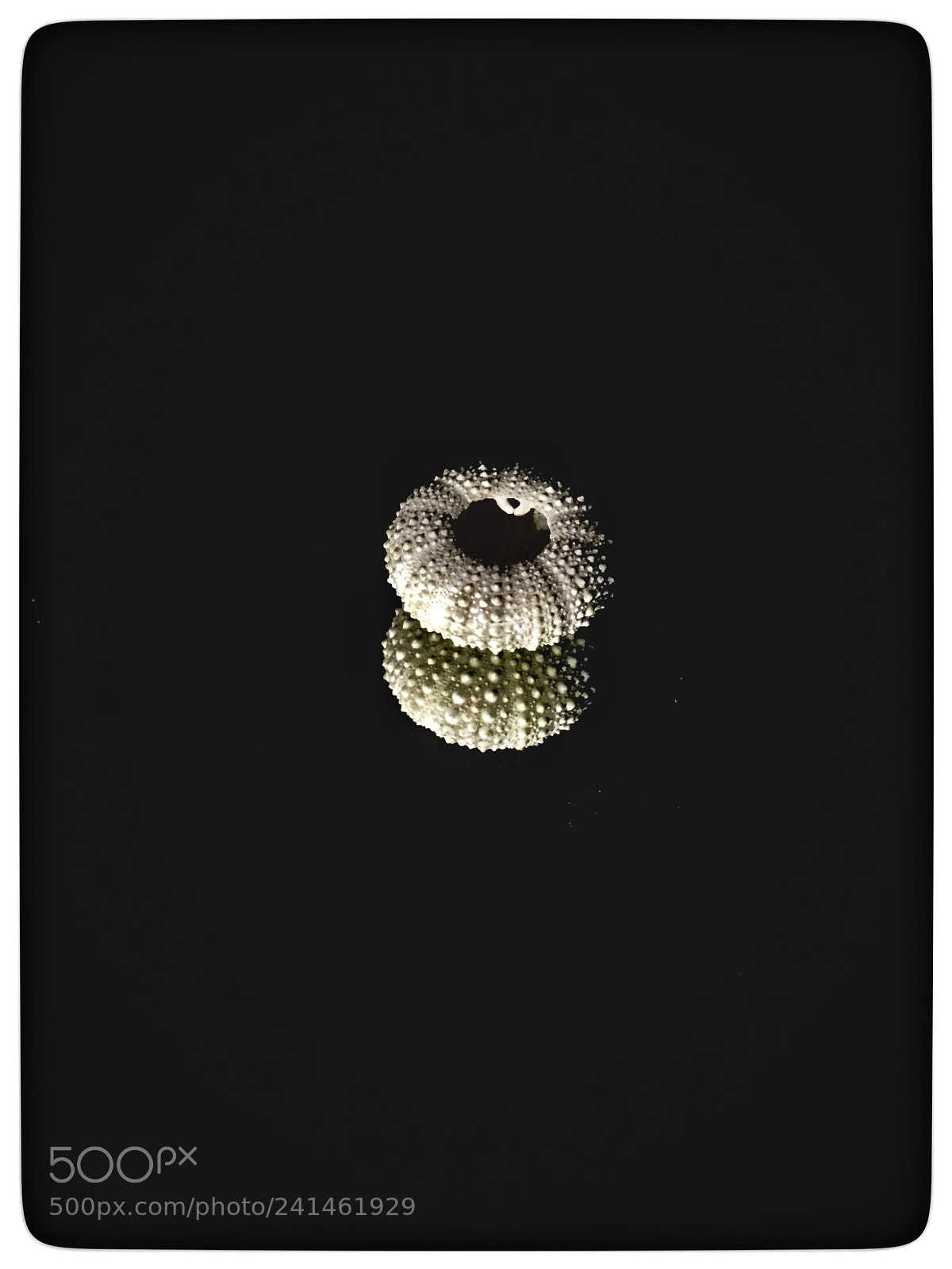 Apple iPhone 6s sample photo. Untitled photography
