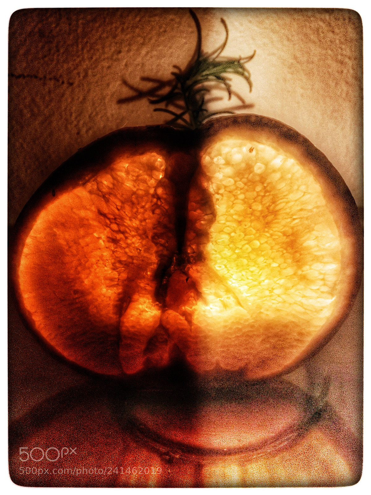 Apple iPhone 6s sample photo. Orange photography
