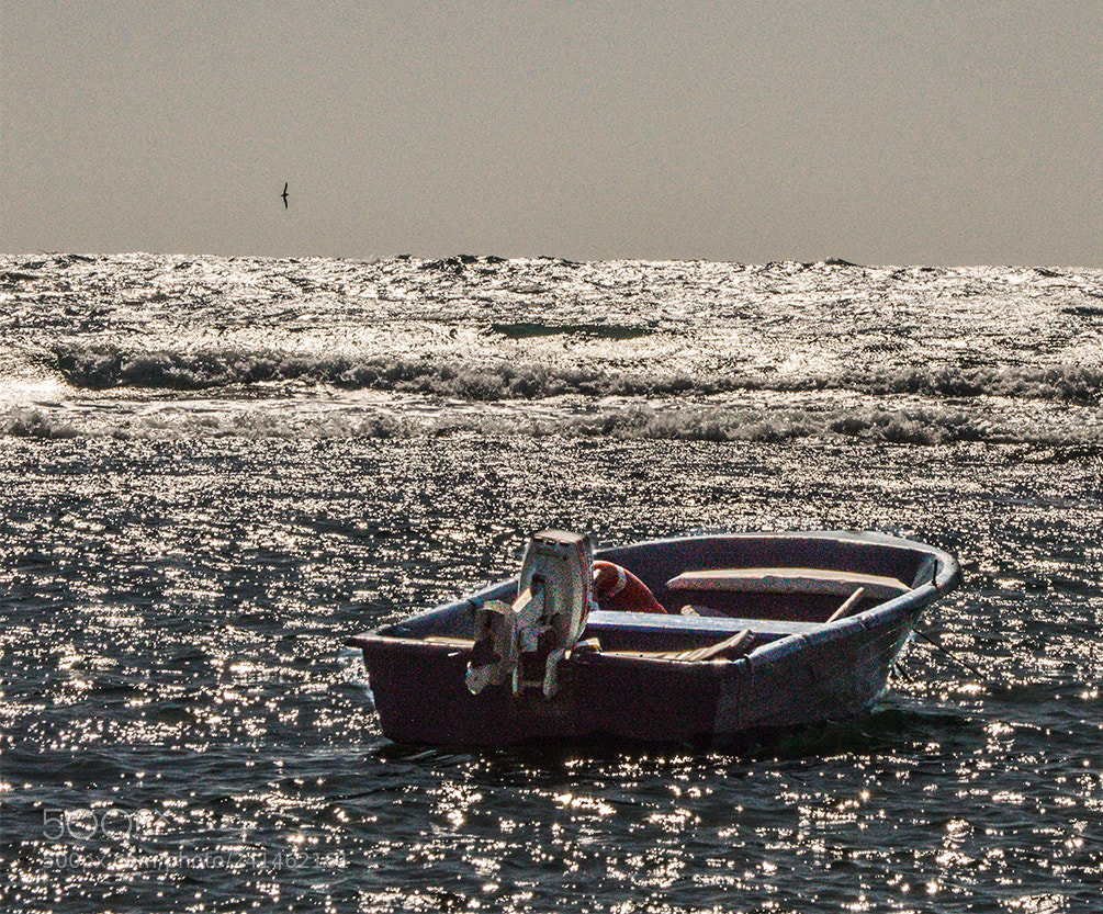 Nikon D3200 sample photo. Barca photography