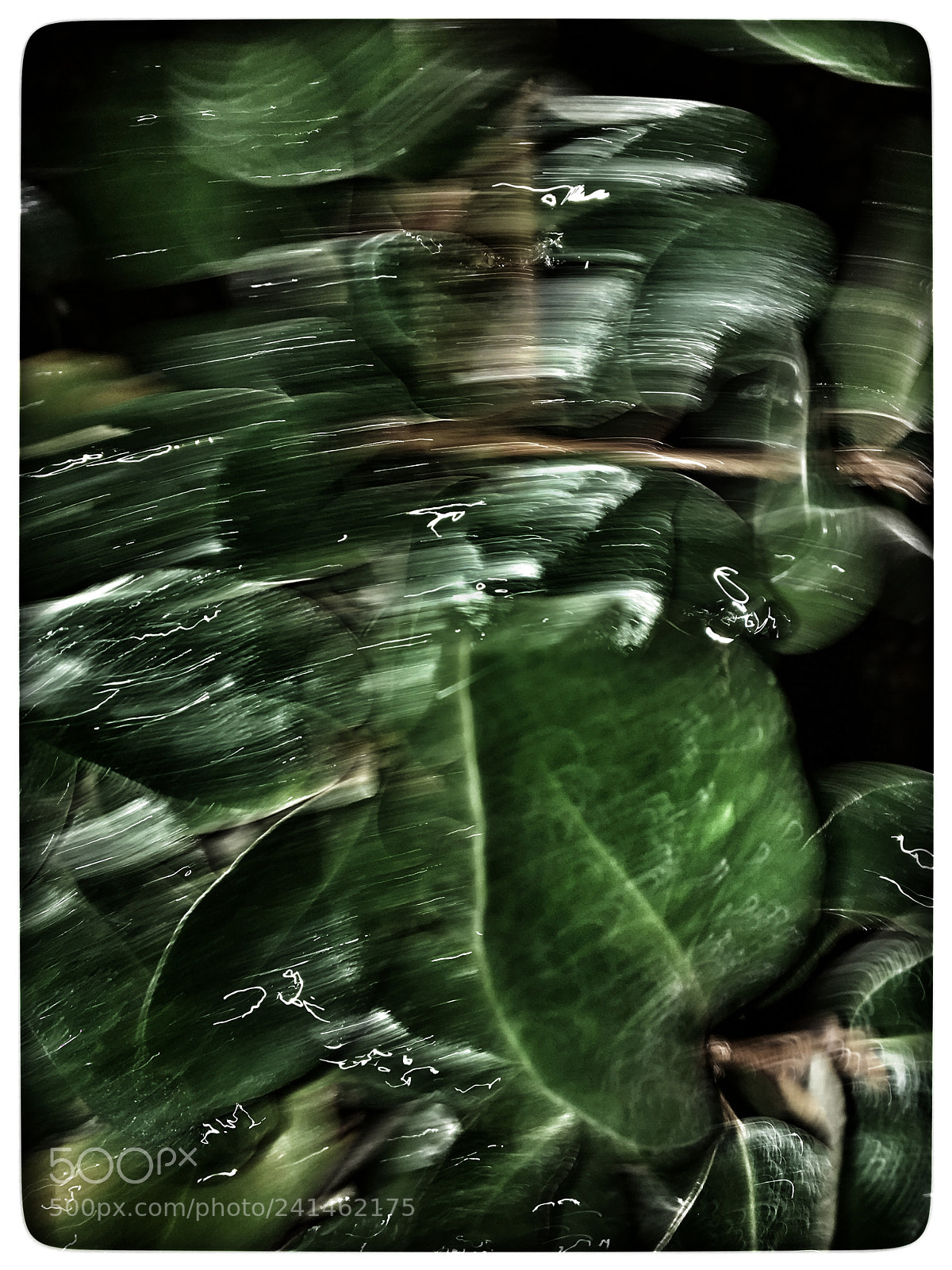 Apple iPhone 6s sample photo. Untitled photography