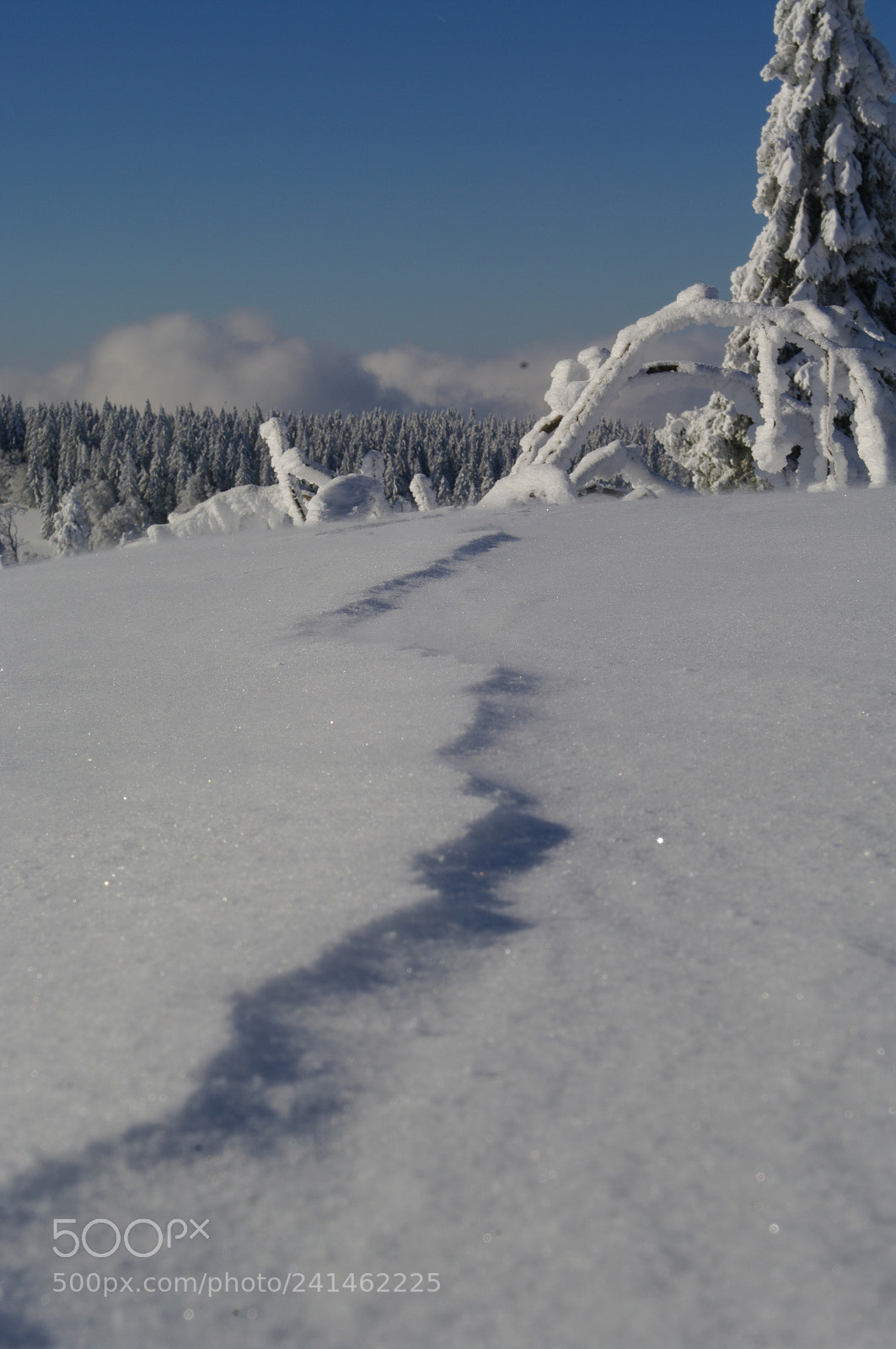 Pentax K20D sample photo. La faille photography