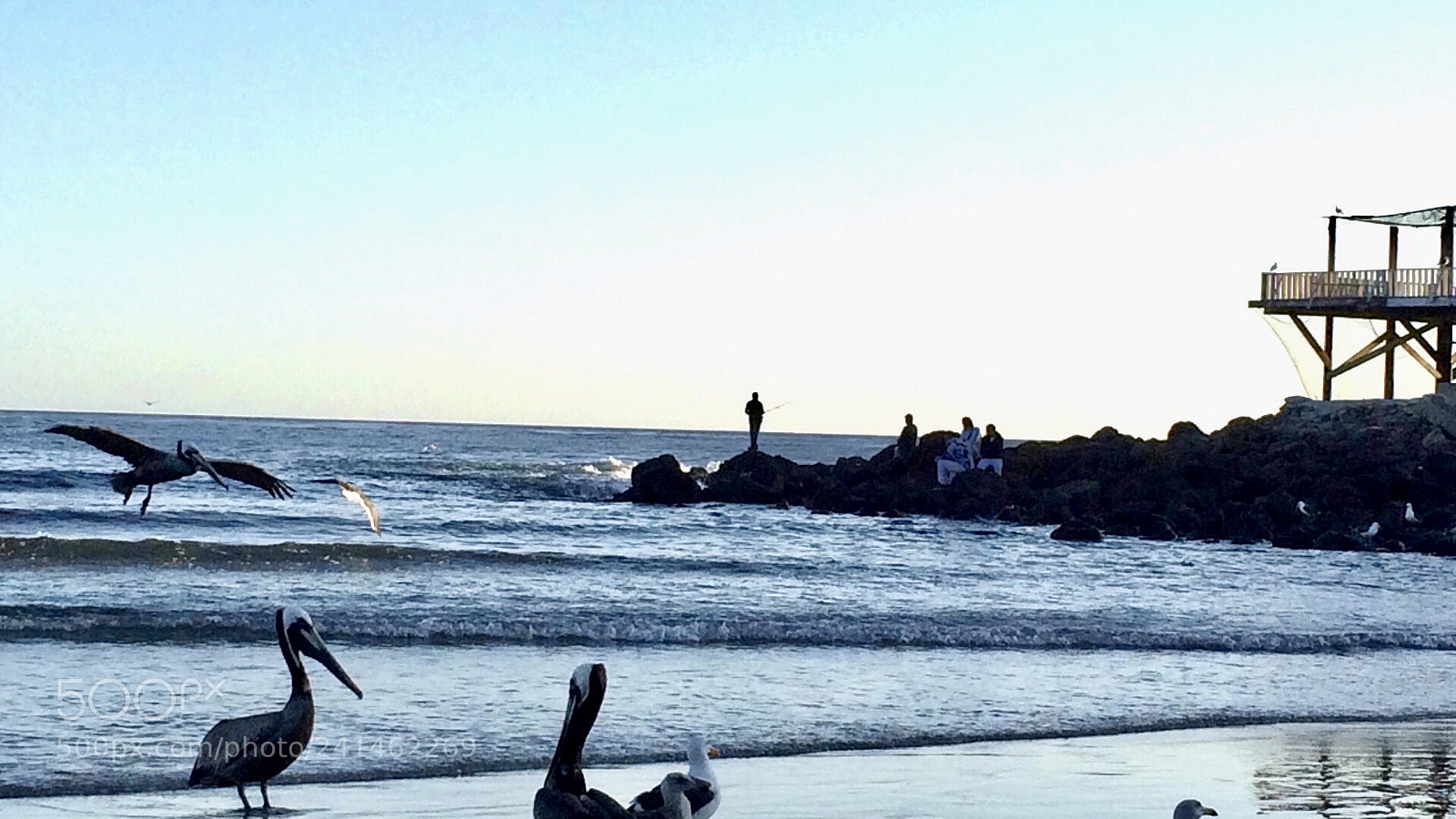 Apple iPhone 5s sample photo. De pesca photography