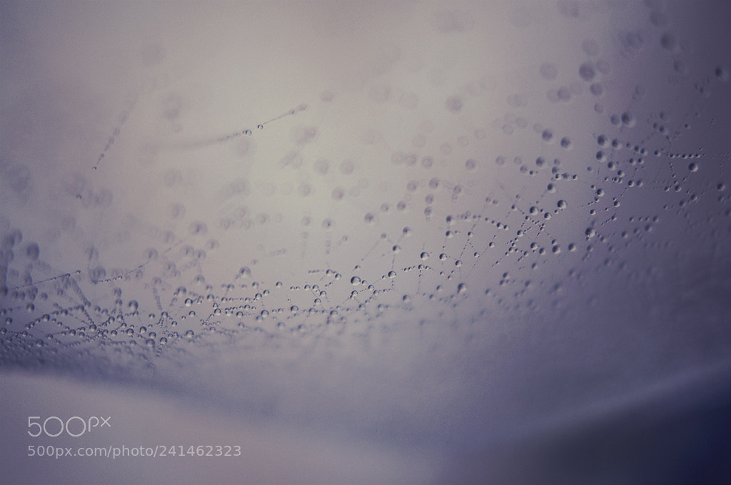 Nikon D90 sample photo. Bulle photography