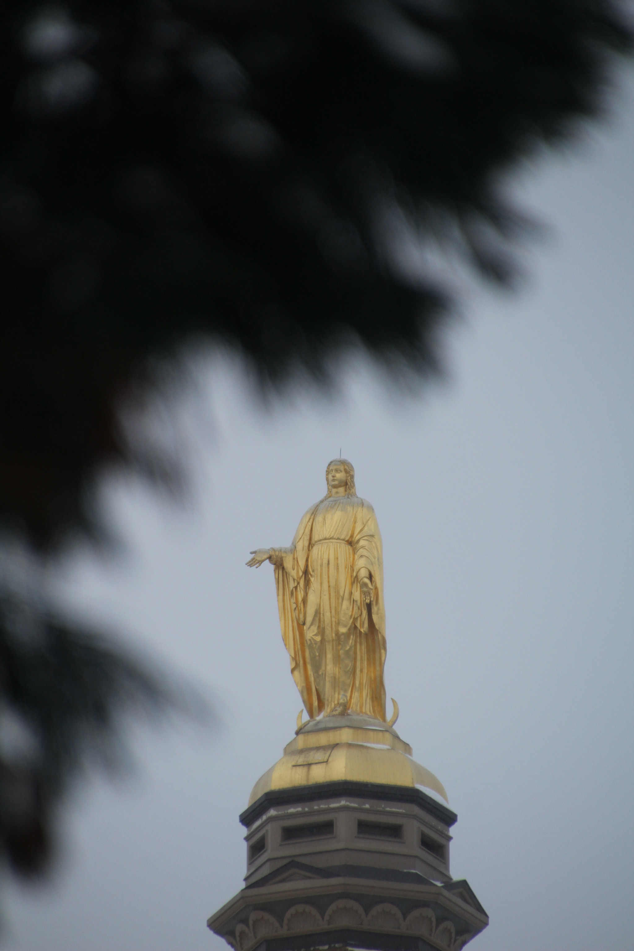 Canon EOS 1200D (EOS Rebel T5 / EOS Kiss X70 / EOS Hi) sample photo. Blurry pine leaves and statue. 模糊的松葉和雕像。 estatua. photography
