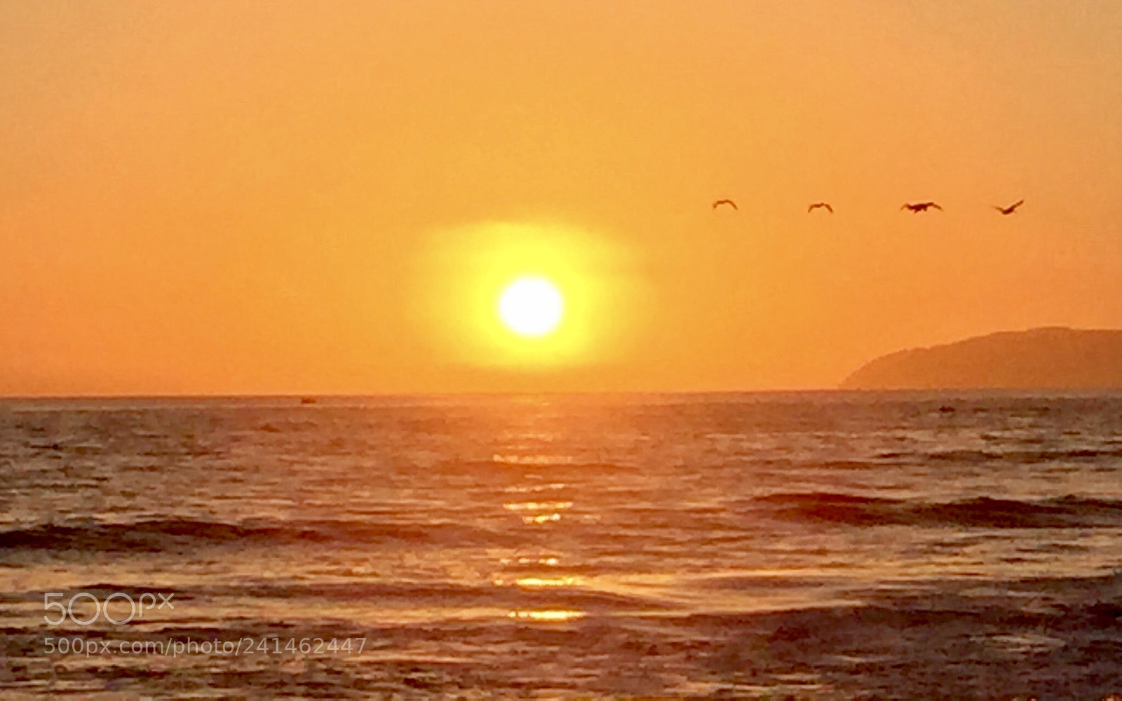 Apple iPhone 6 sample photo. Dile adiós .. photography