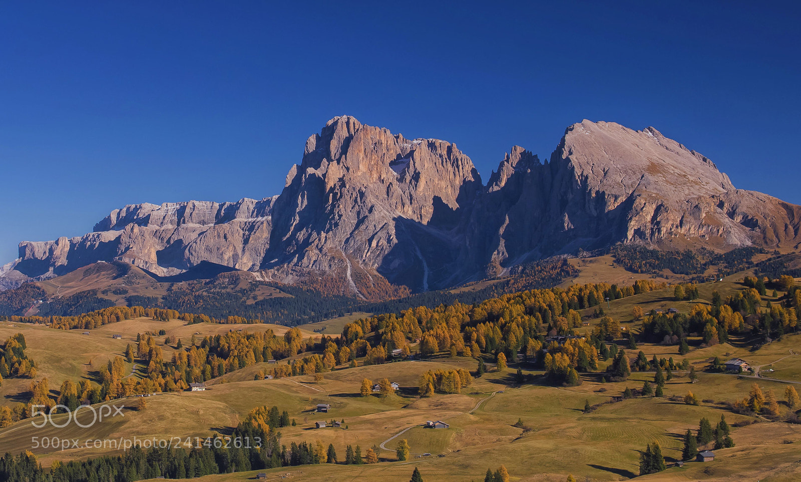 Nikon D810 sample photo. Alp di suisi photography