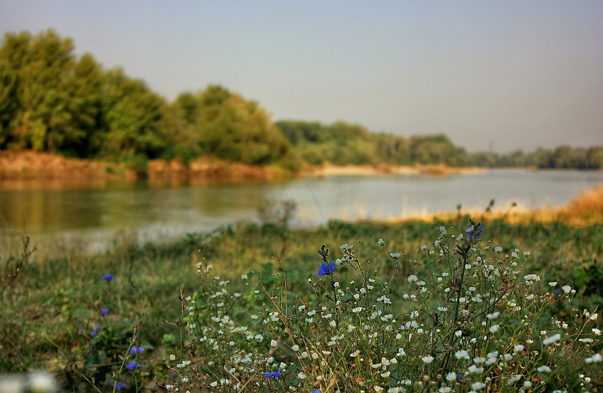 5-5.6 IS II sample photo