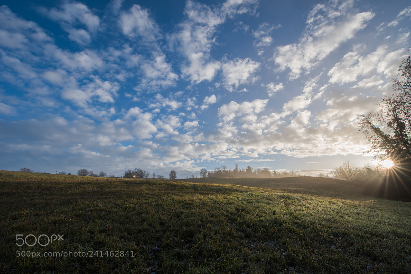 Nikon D810 sample photo. Early morning light photography