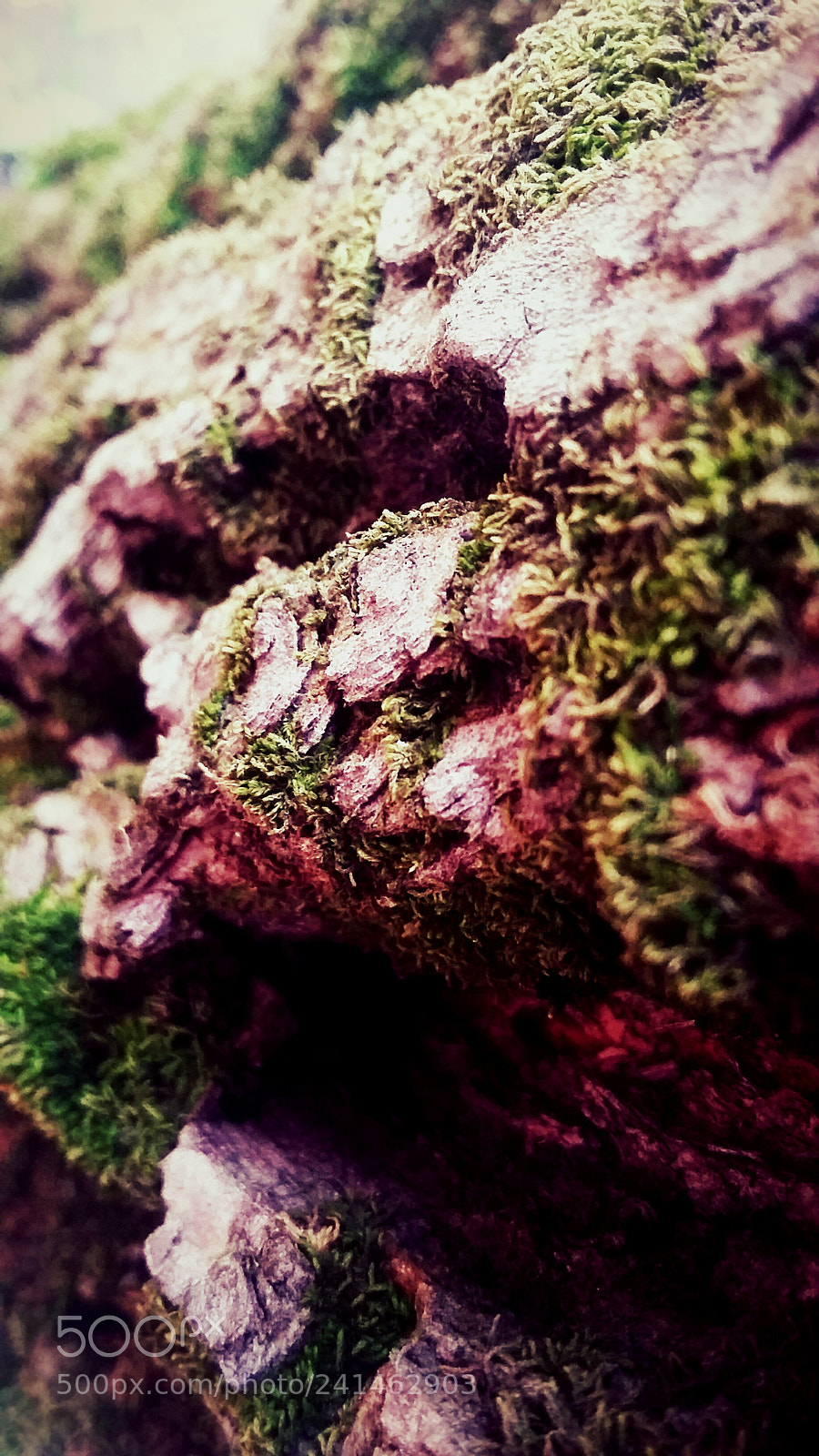 Samsung Galaxy Grand Prime sample photo. Untitled photography