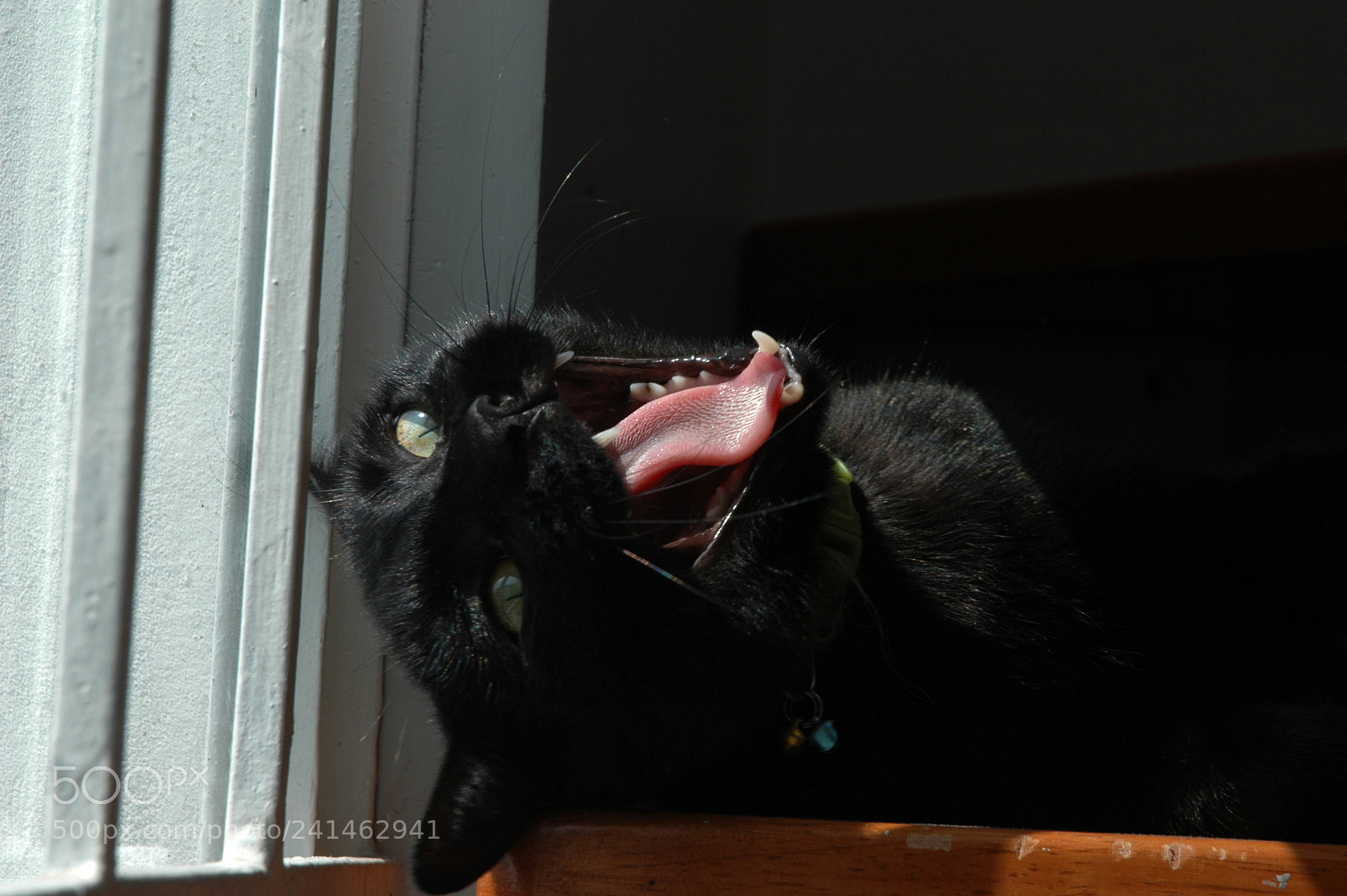 Nikon D70s sample photo. Yawn photography