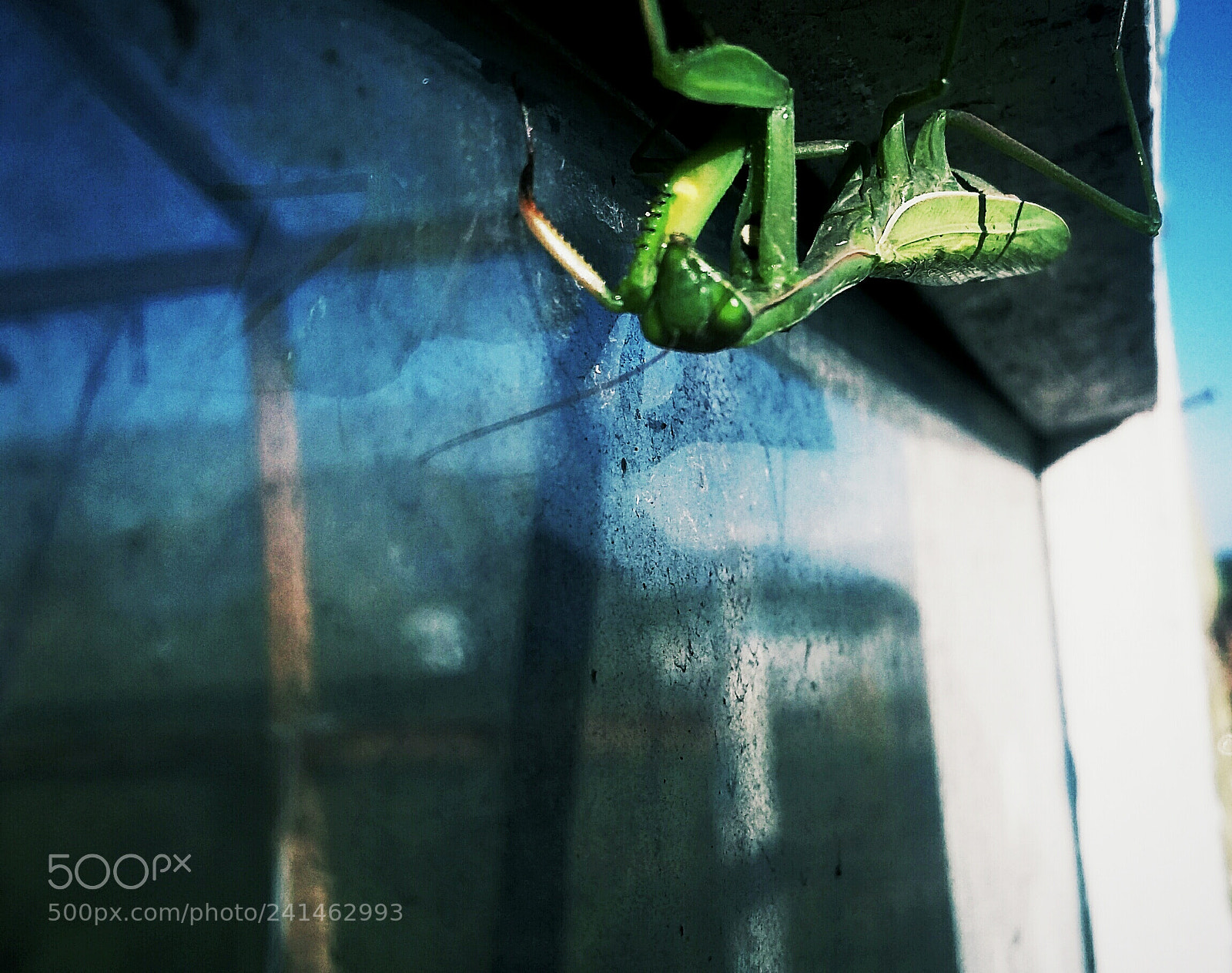 Samsung Galaxy Grand Prime sample photo. Untitled photography