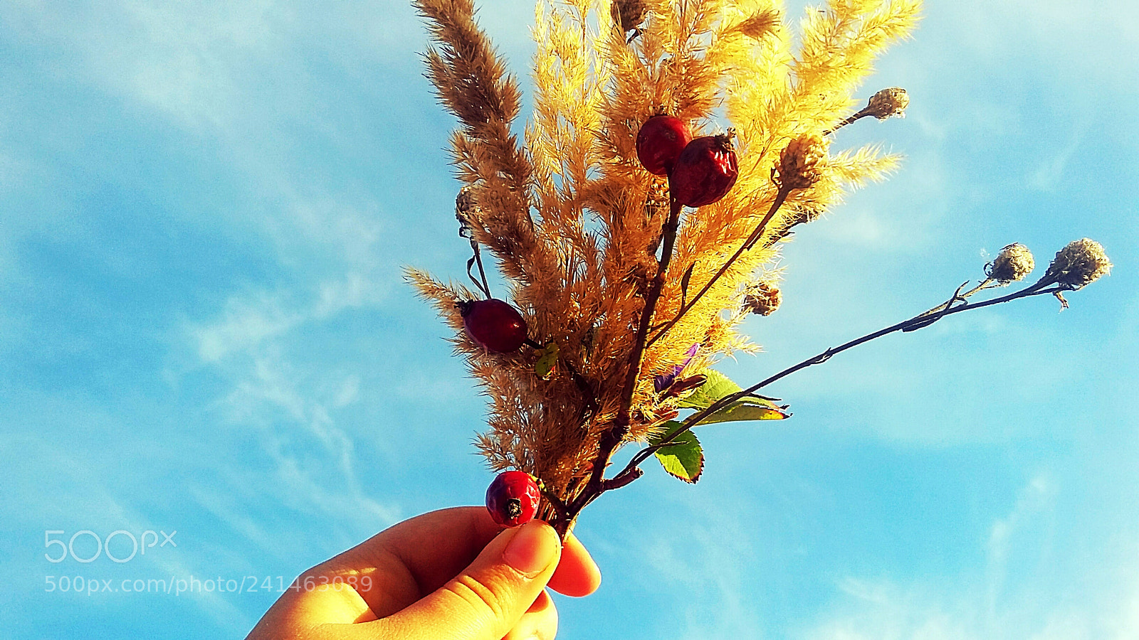 Samsung Galaxy Grand Prime sample photo. Untitled photography