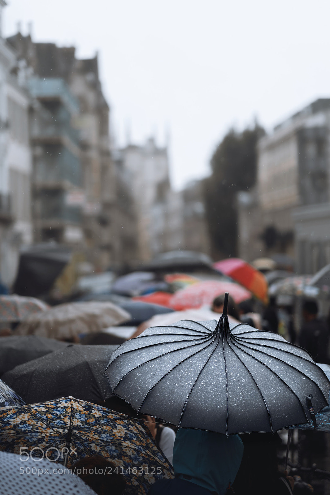 Fujifilm X-Pro2 sample photo. Img photography