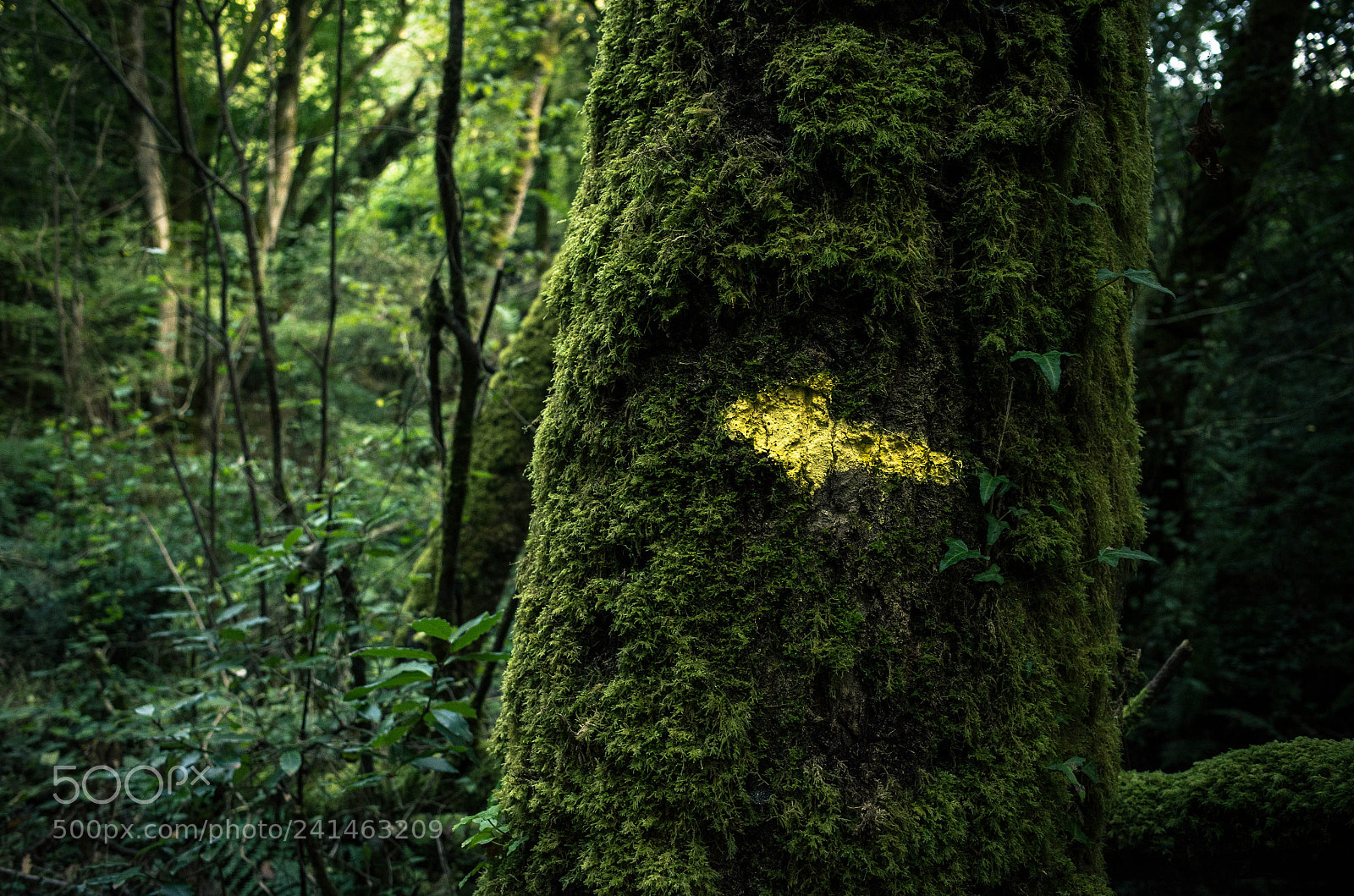 Ricoh GR sample photo. R photography