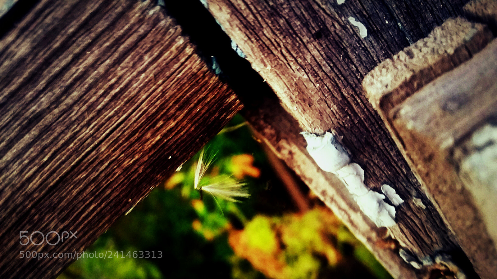 Samsung Galaxy Grand Prime sample photo. Untitled photography