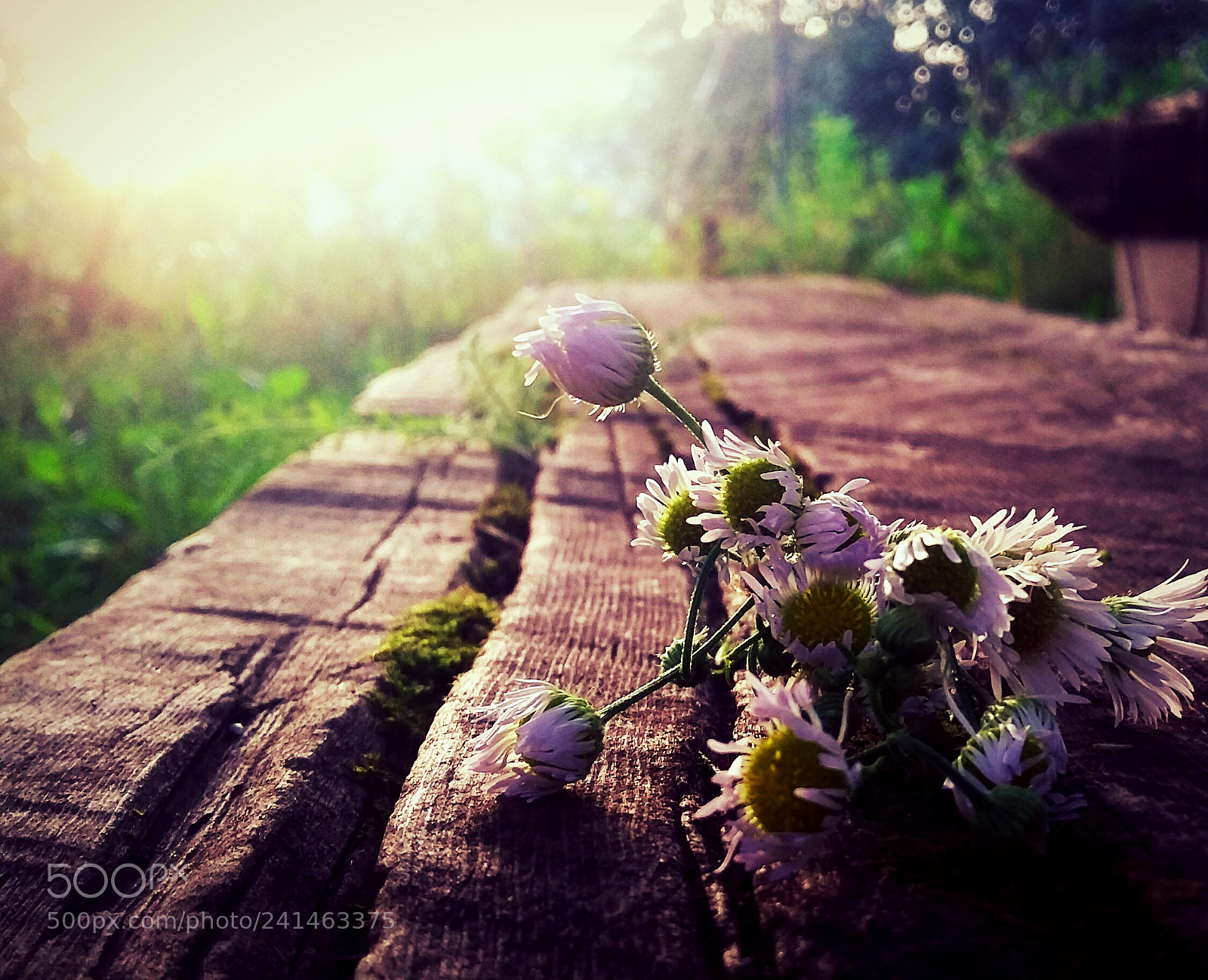 Samsung Galaxy Grand Prime sample photo. Untitled photography