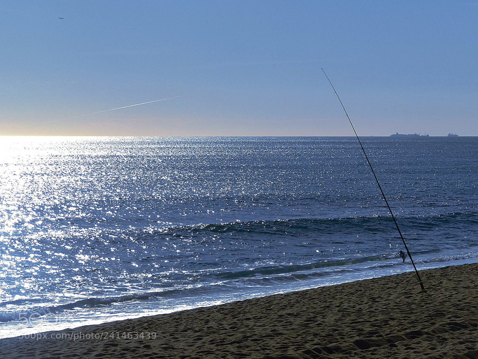 Panasonic Lumix DMC-FZ200 sample photo. Fishing photography