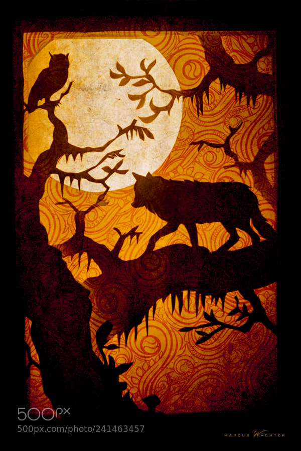 Nikon D3100 sample photo. Papercut - mother wolf photography