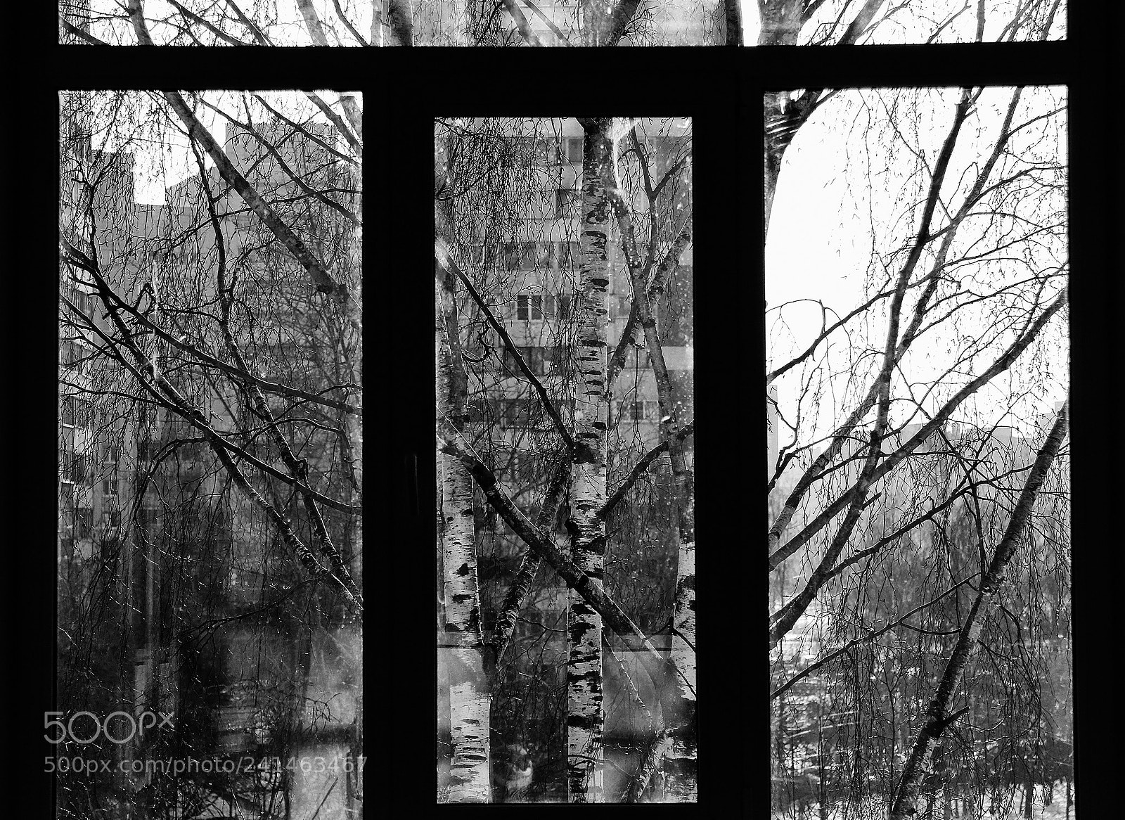Canon EOS 60D sample photo. Window photography