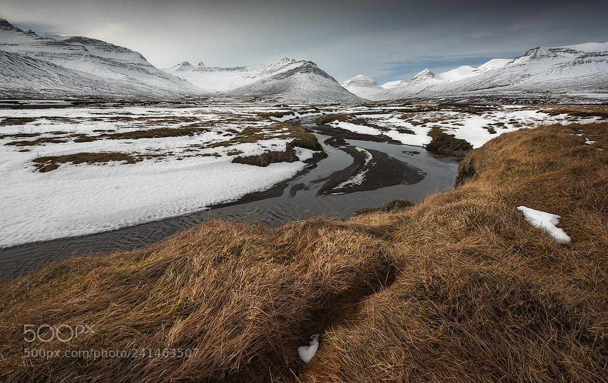 Nikon D810 sample photo. Iceland stream photography