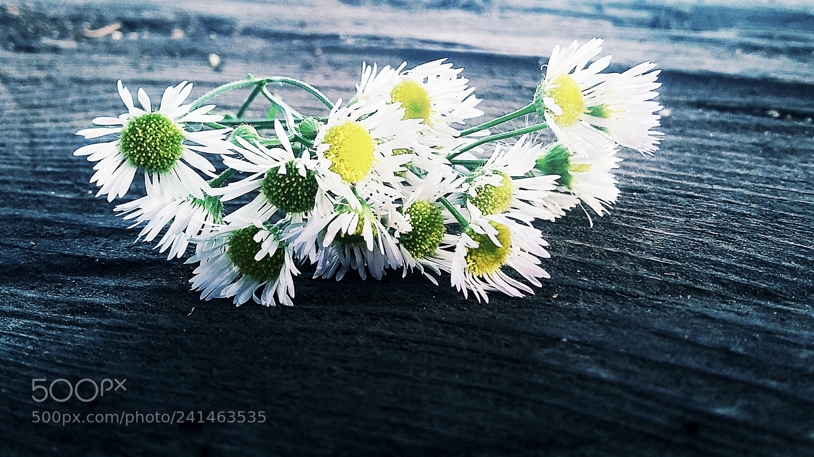 Samsung Galaxy Grand Prime sample photo. Untitled photography