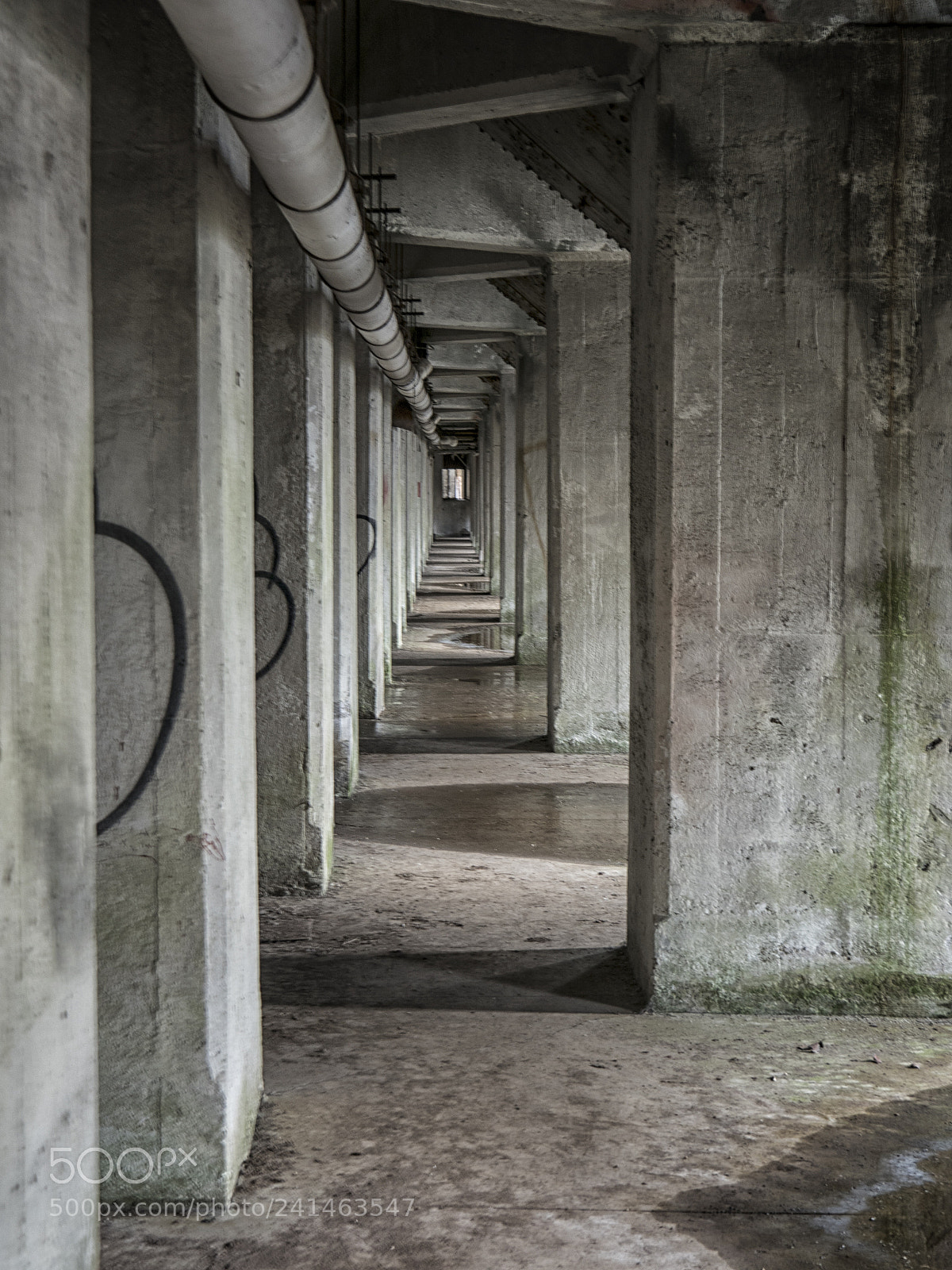 Olympus OM-D E-M5 II sample photo. Never ending photography