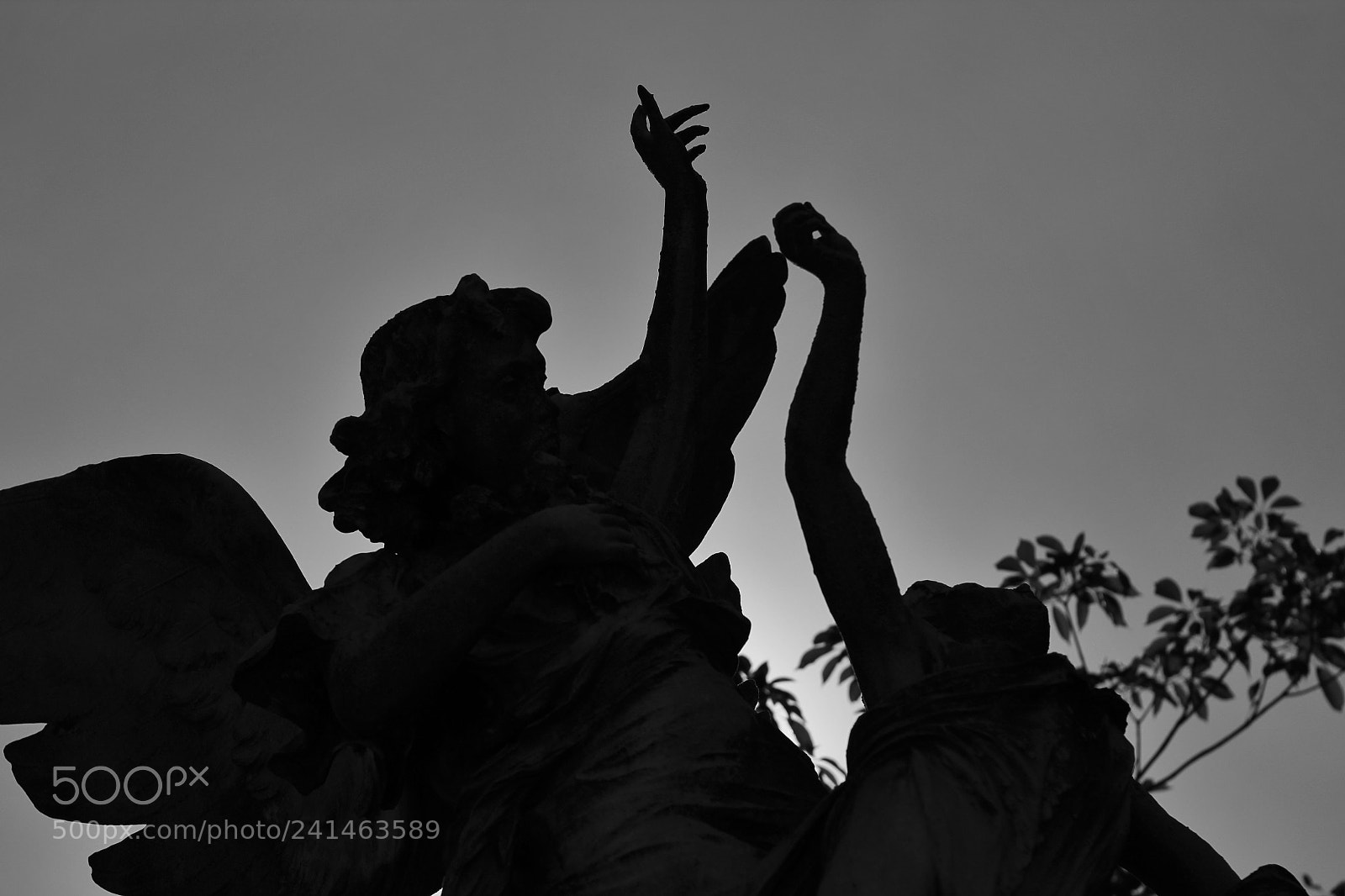 Canon EOS 1200D (EOS Rebel T5 / EOS Kiss X70 / EOS Hi) sample photo. Dance of angels photography