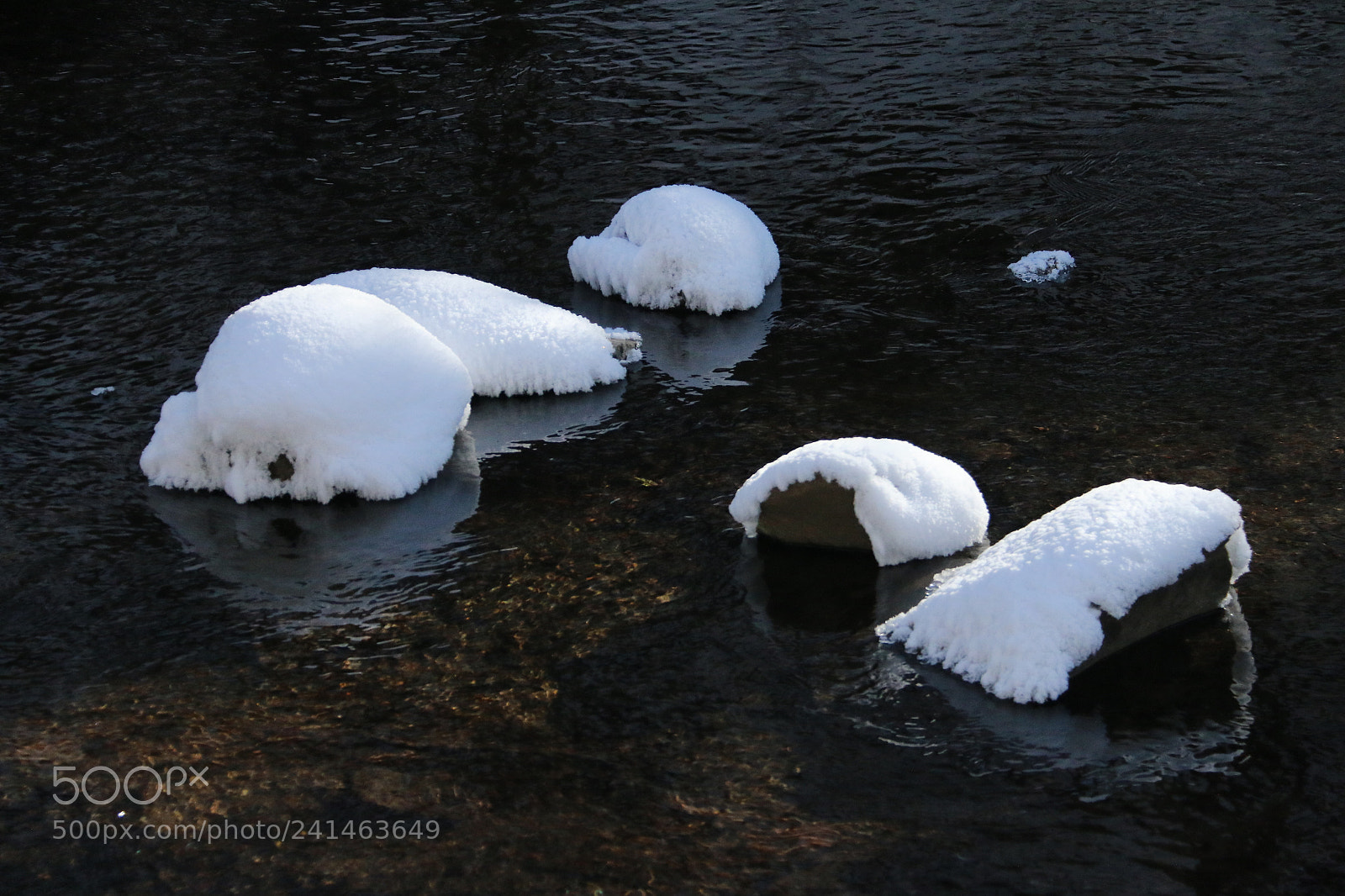 Canon EF-S 18-200mm F3.5-5.6 IS sample photo. Snow mushroom photography