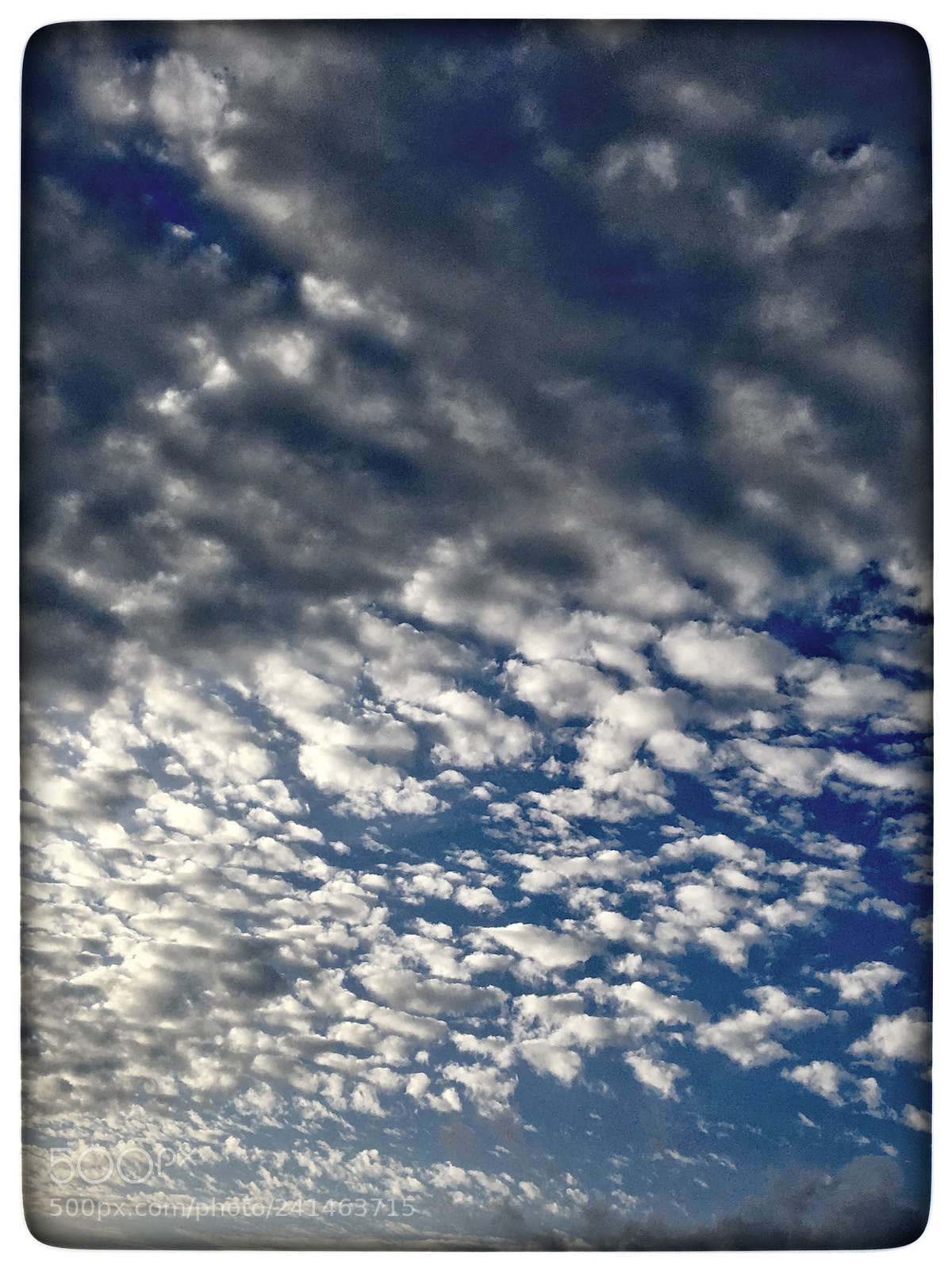 Apple iPhone 6s sample photo. Untitled photography