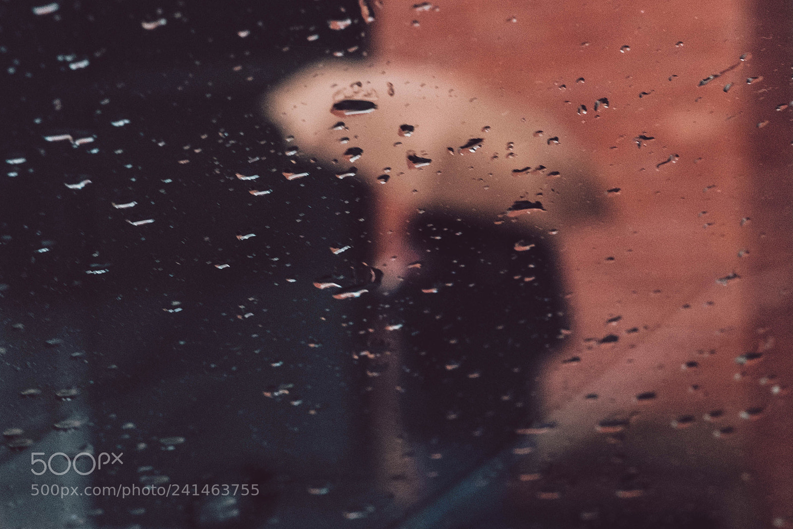 Fujifilm X-T2 sample photo. Rain photography