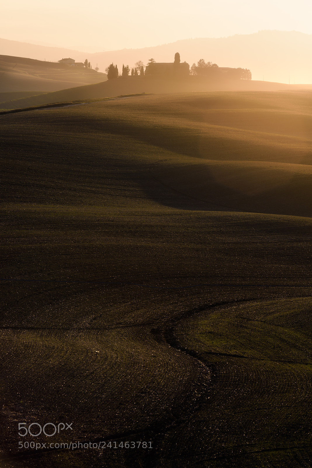 Nikon D810 sample photo. Toscana photography