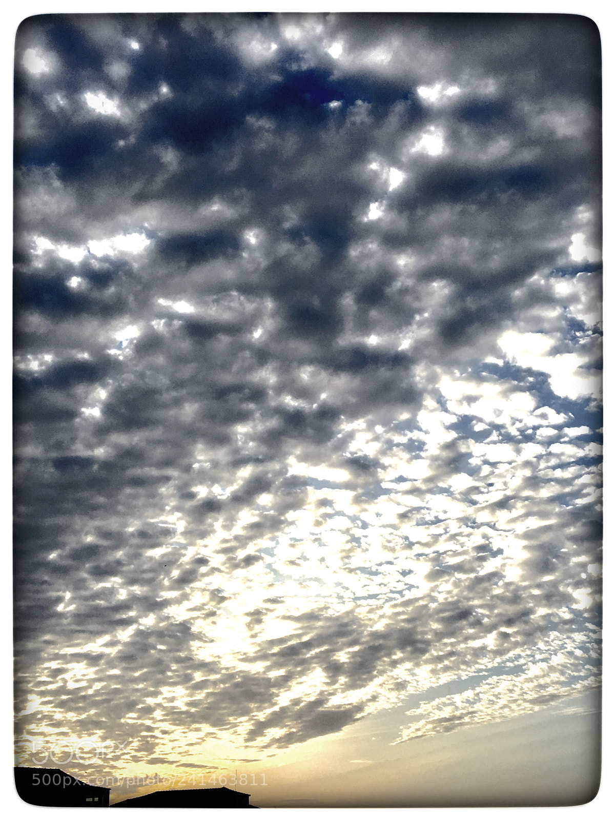 Apple iPhone 6s sample photo. Untitled photography