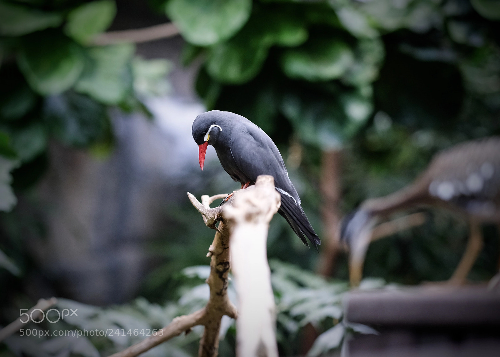 Fujifilm X-T2 sample photo. Untitled photography