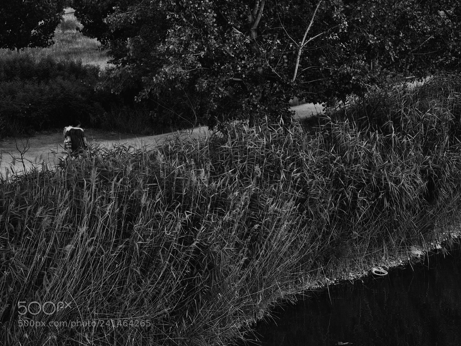 Olympus OM-D E-M1 sample photo. Toledo promenade photography