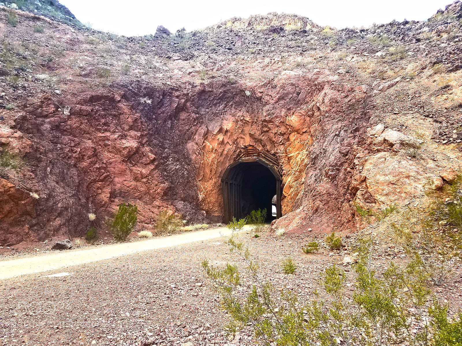 Samsung Galaxy S7 sample photo. Tunnel path photography