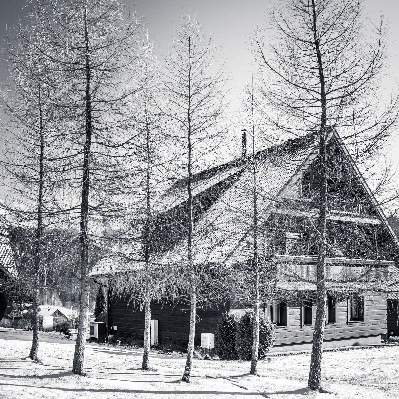 Canon EOS 750D (EOS Rebel T6i / EOS Kiss X8i) sample photo. Trees and cottage photography