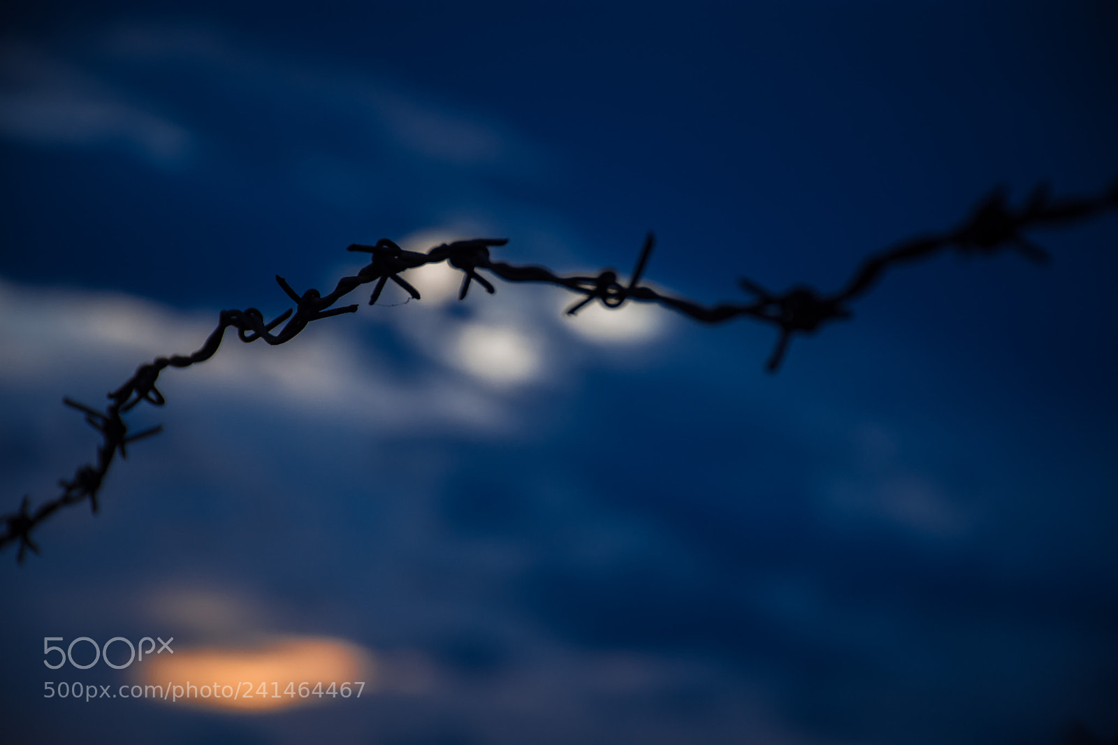 Nikon D7200 sample photo. Prison photography