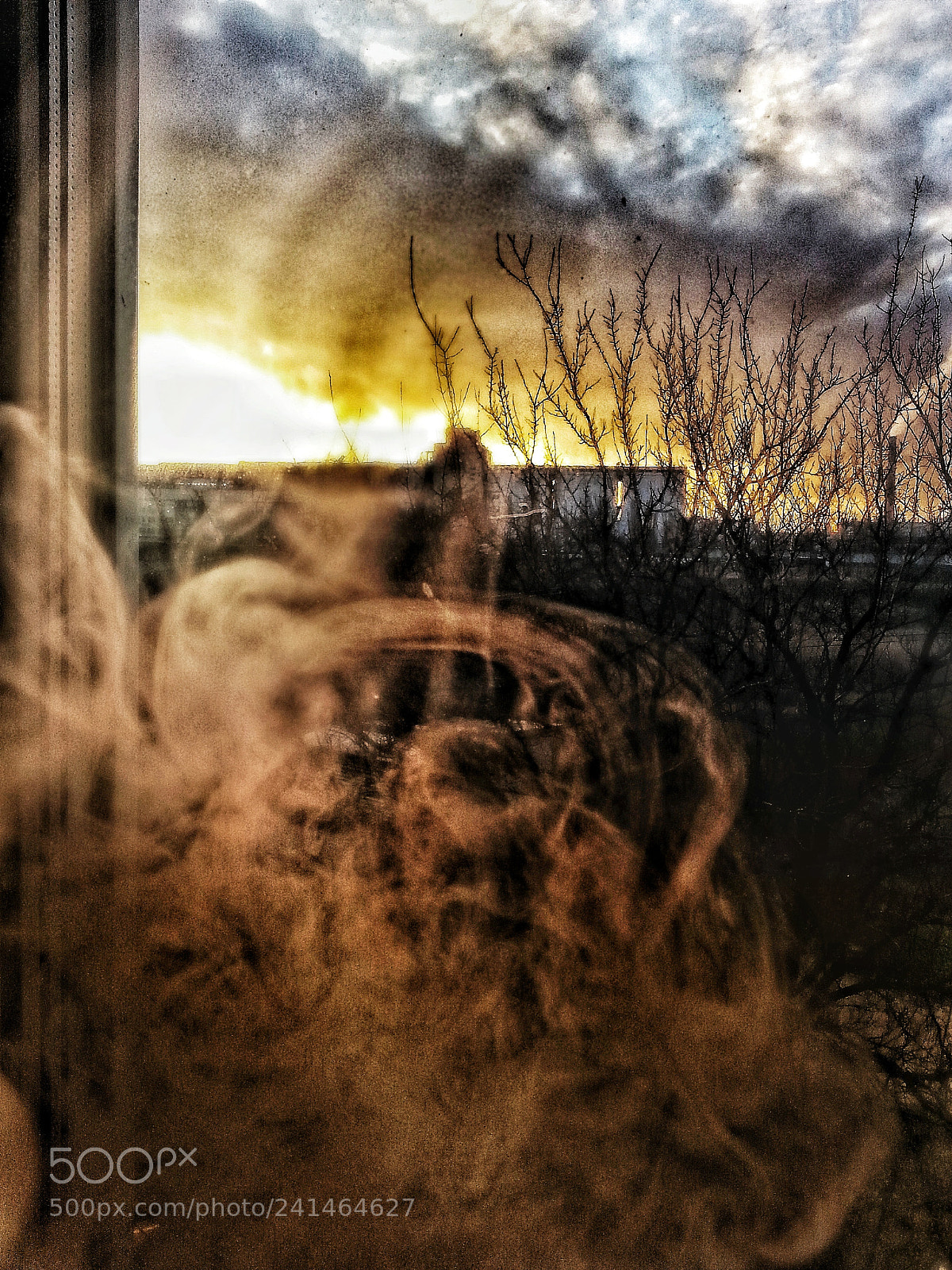 Samsung Galaxy Note2 sample photo. Untitled photography