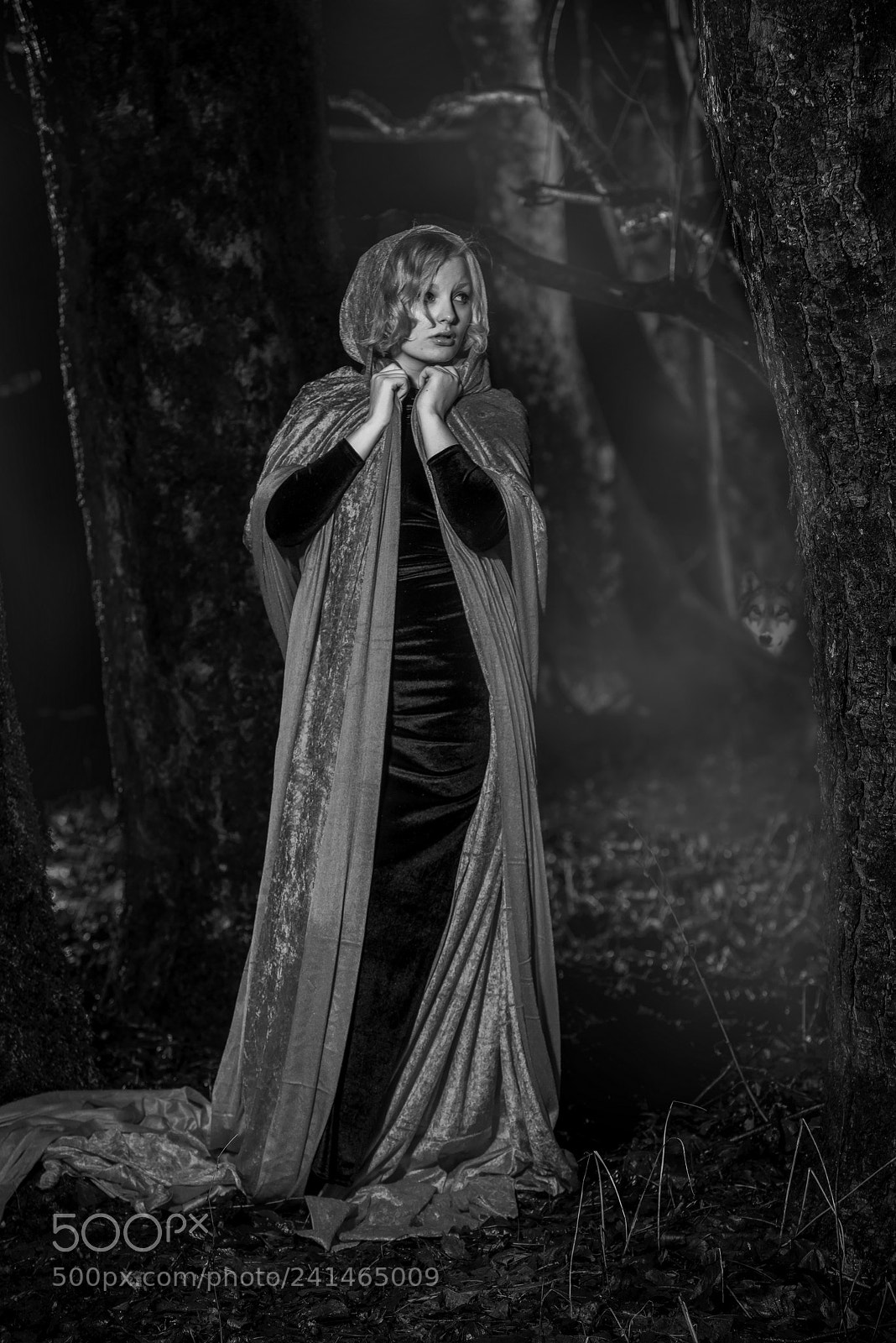 Nikon D810 sample photo. Little red riding hood photography