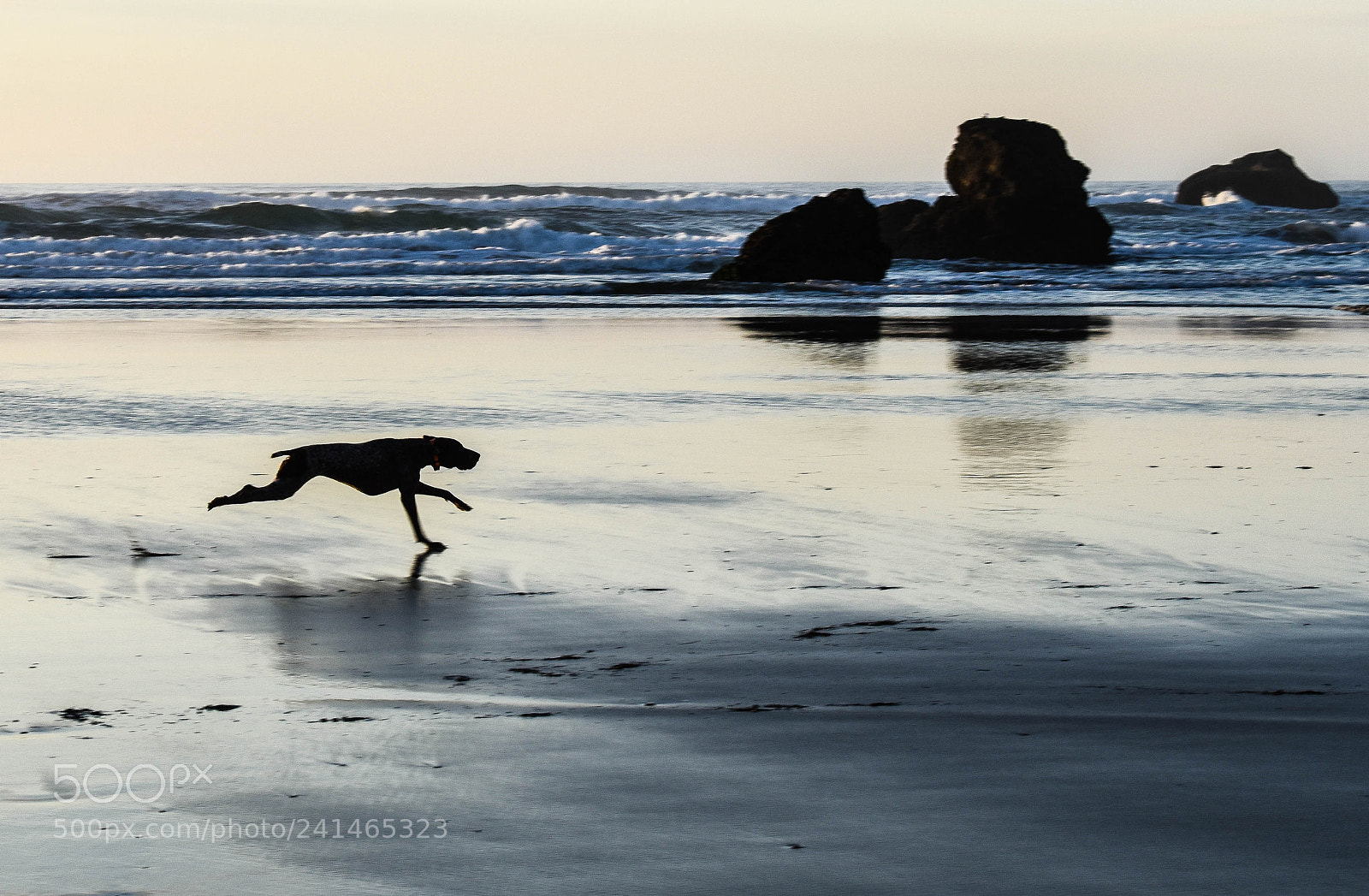 Nikon D5500 sample photo. Seaside beach, mendocino coast. photography