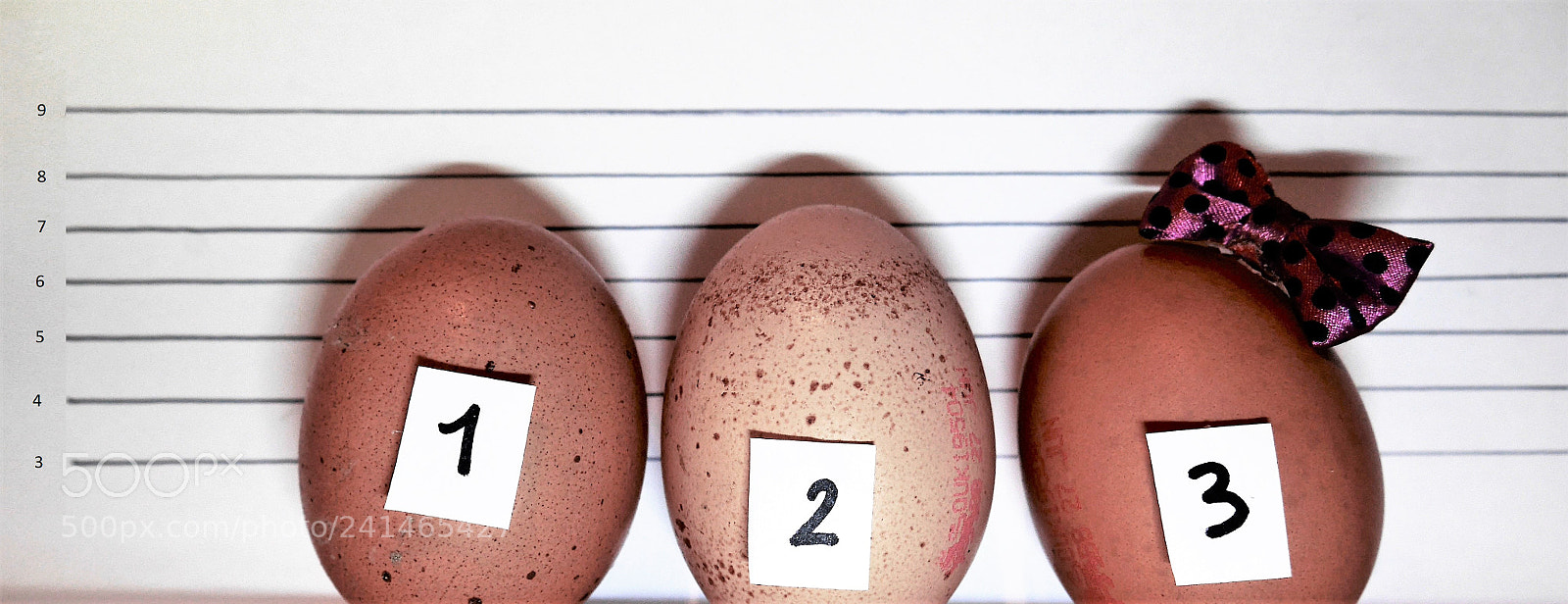 Panasonic Lumix DMC-GX7 sample photo. Criminal egg photography