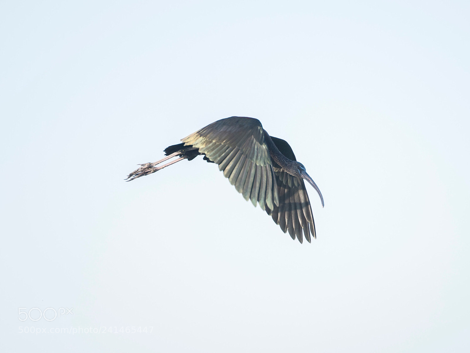 Nikon D810 sample photo. Untitled photography