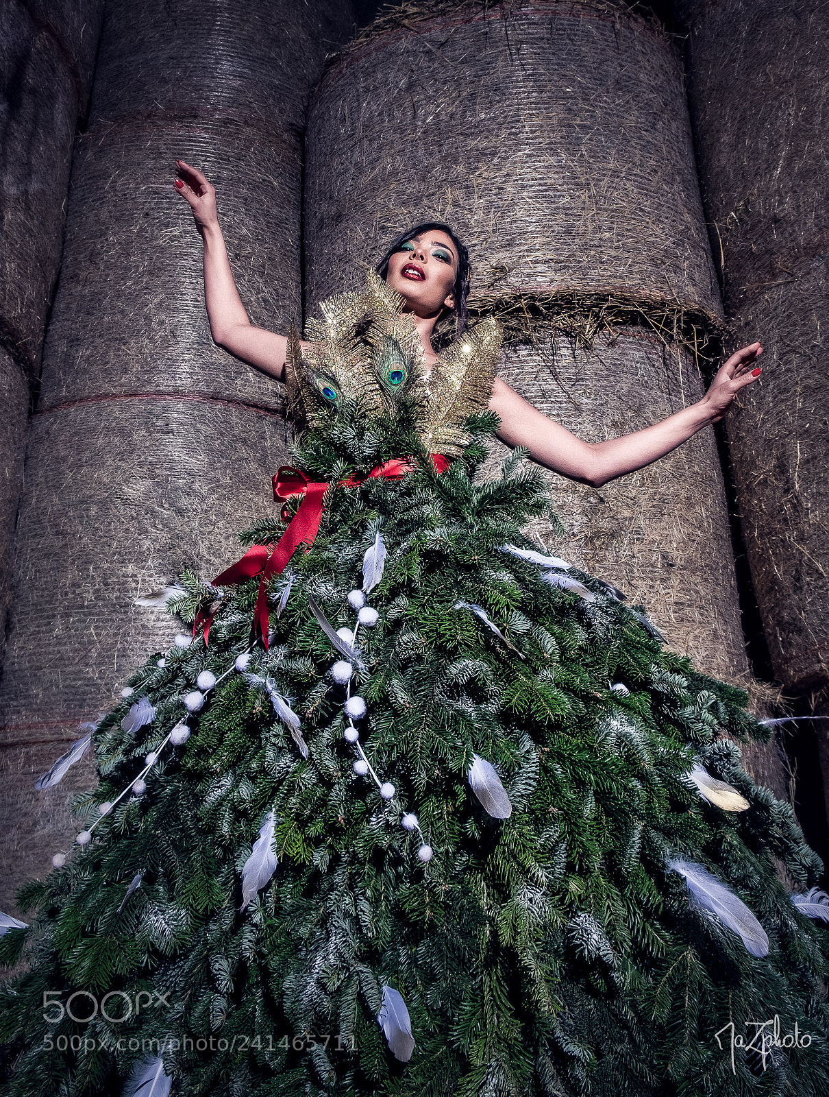 Fujifilm X-T10 sample photo. My christmas tree photography