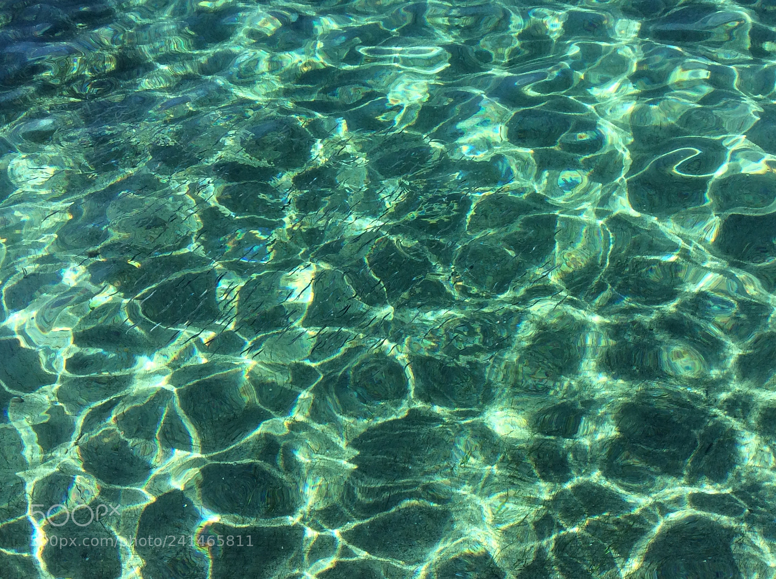 Apple iPad mini 2 sample photo. Little, tiny fish in photography